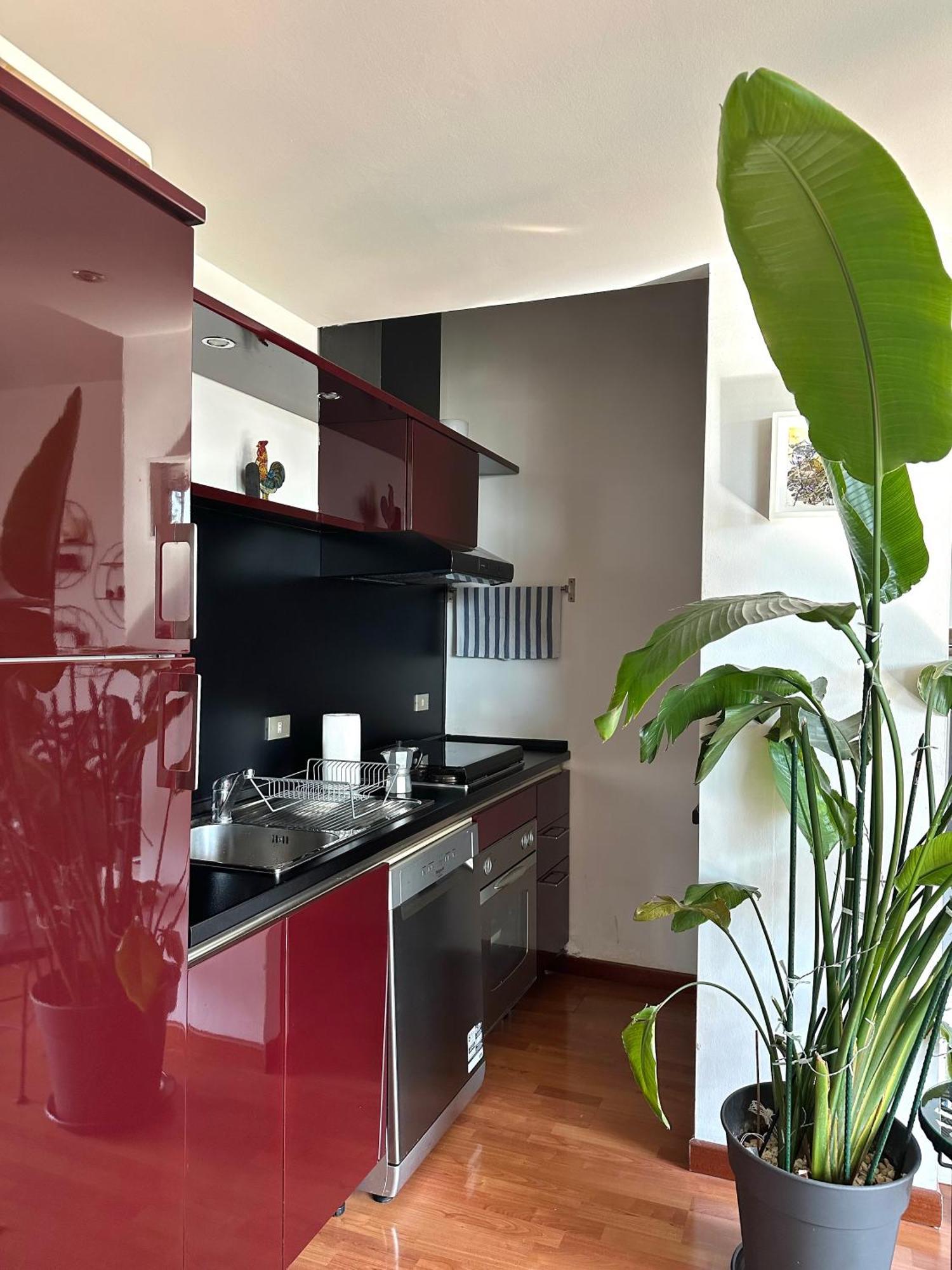 Appartamento Urban Jungle - Attico Vista Duomo *