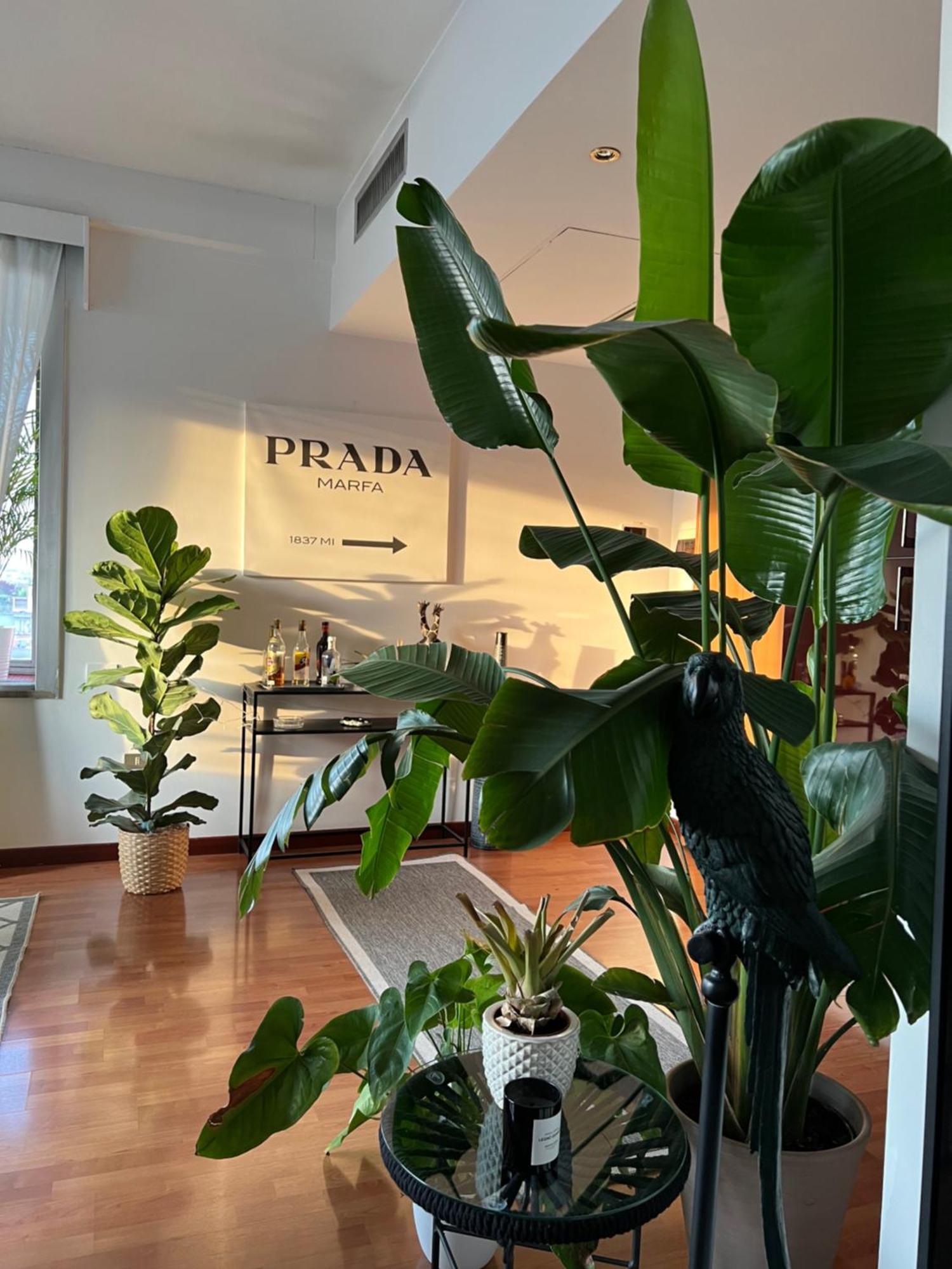 Appartamento Urban Jungle - Attico Vista Duomo *
