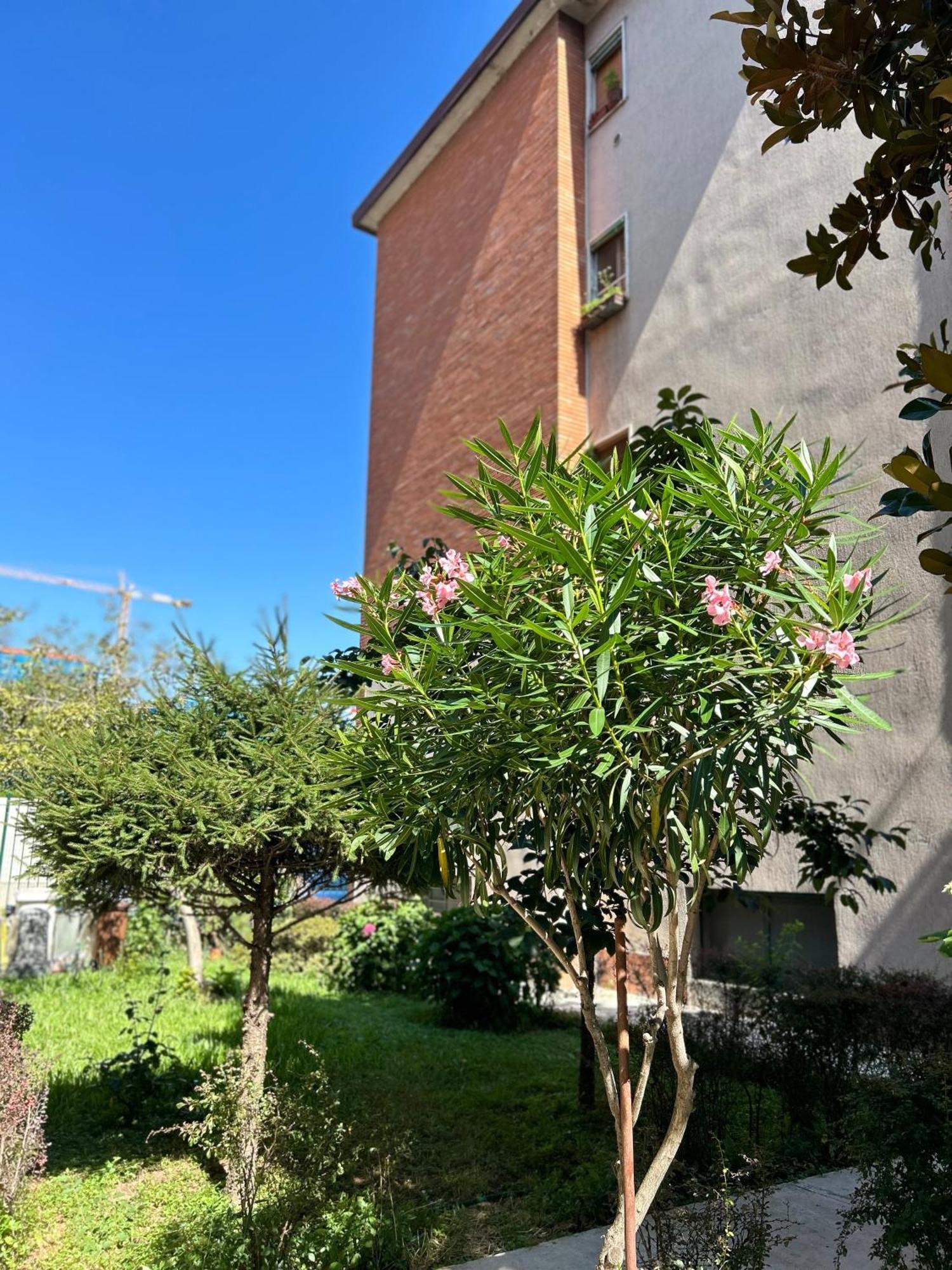 Appartamento Soggiornare Sul Naviglio Milano