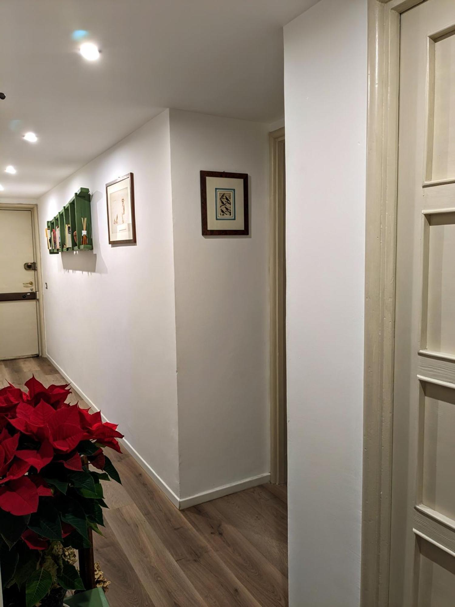 Pippo's House Milano