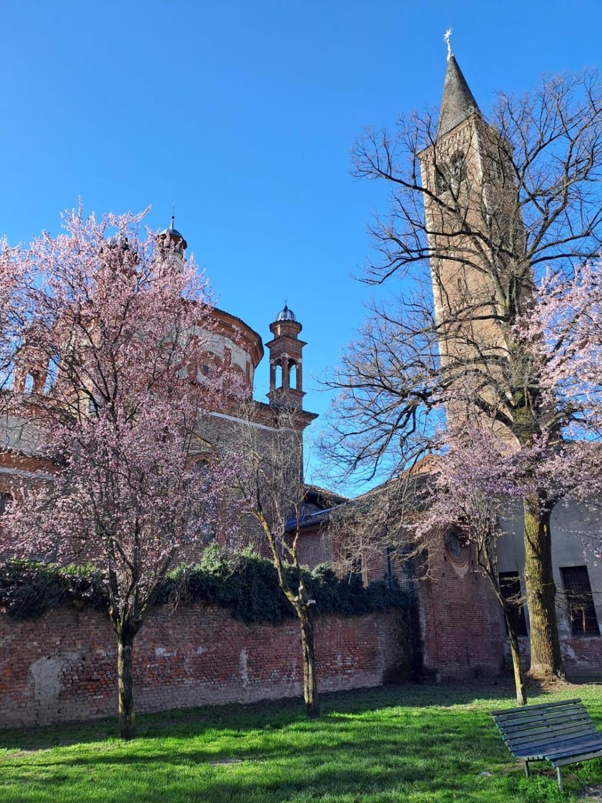 Leilighet Vetra-parco Delle Basiliche 2 Pax- Wifi- Banfi