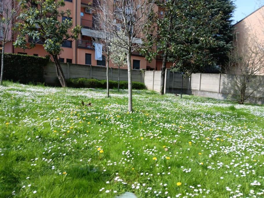 The Garden In Navil