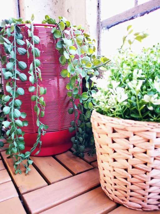 Appartamento Sunny Flat 50 Meters From The Metro Milano