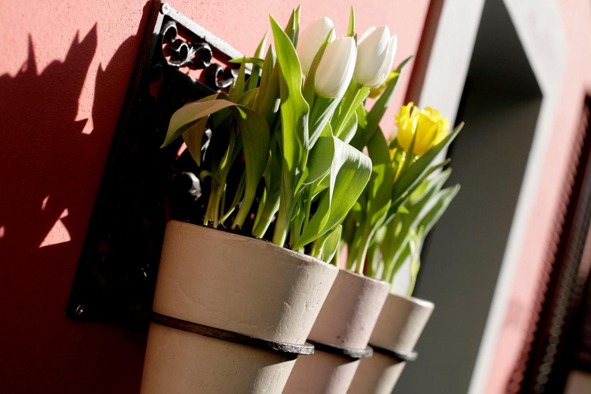 Bed & Breakfast Trovailtempo Milano