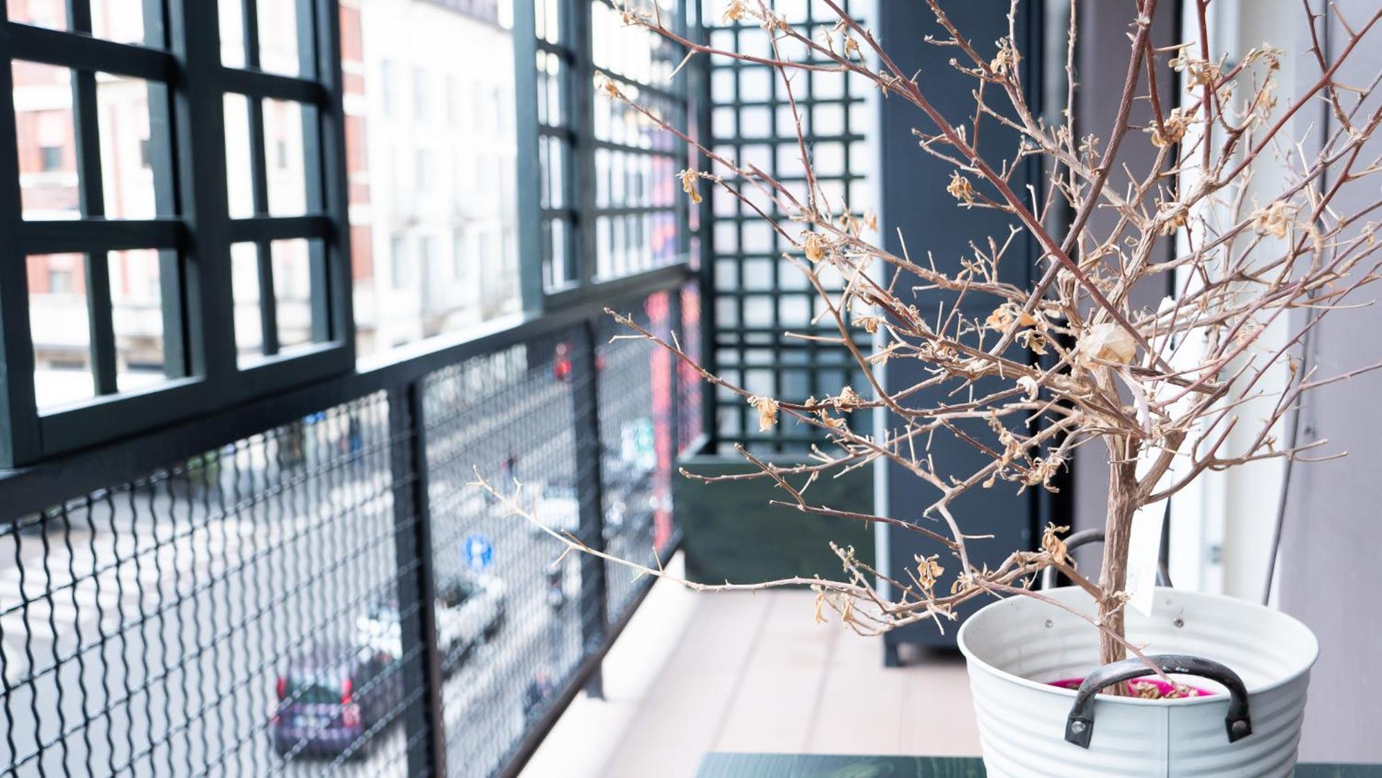 Apartment Prestige Boutique Homes-arco Della Pace Exclusive Family