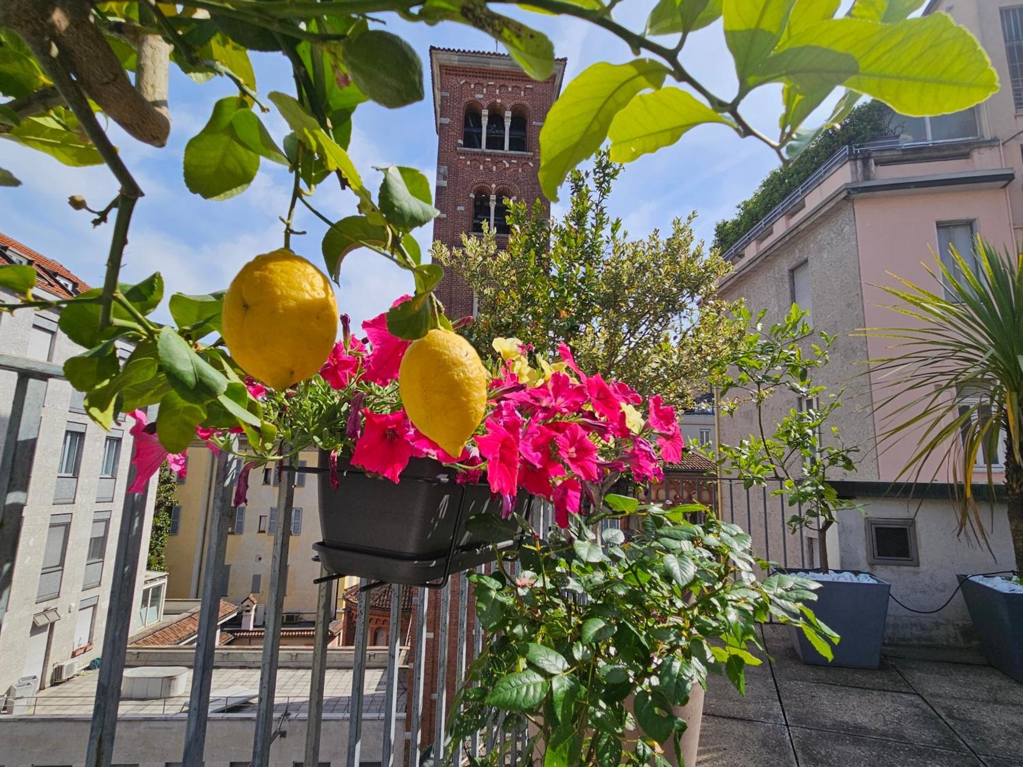 Exclusive Top Floor 2-bedroom Flat Milan