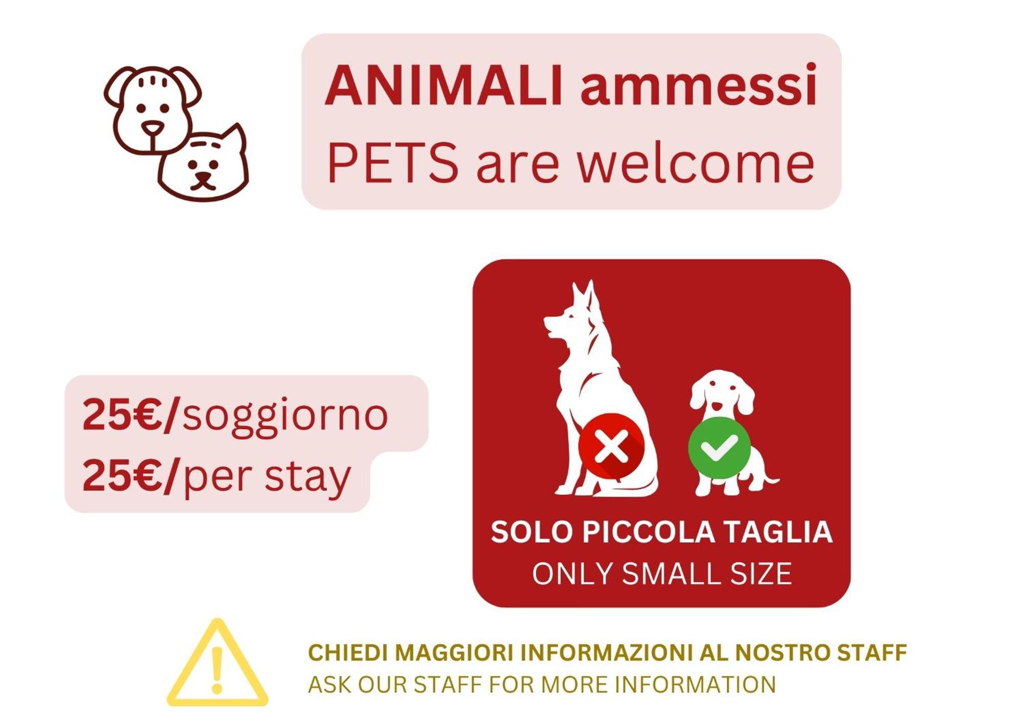 Caseospitali - Alice's House, Funzionale Trilocale Con Arredi Moderni *