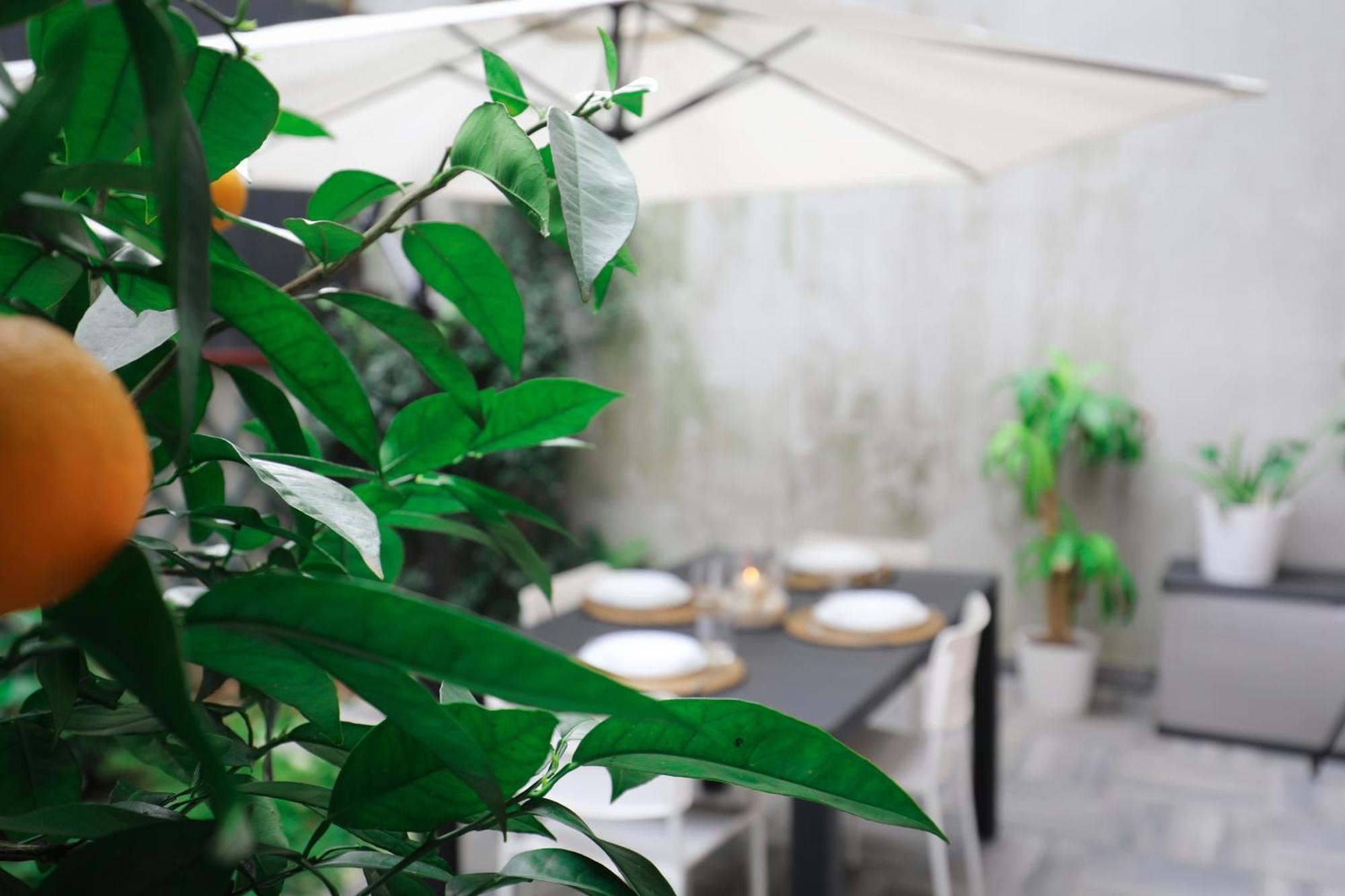 Giardino Terrazzo Privato Bilocale Moderno Vicino Metropolitana Comodo Per Niguarda E Centro Milano