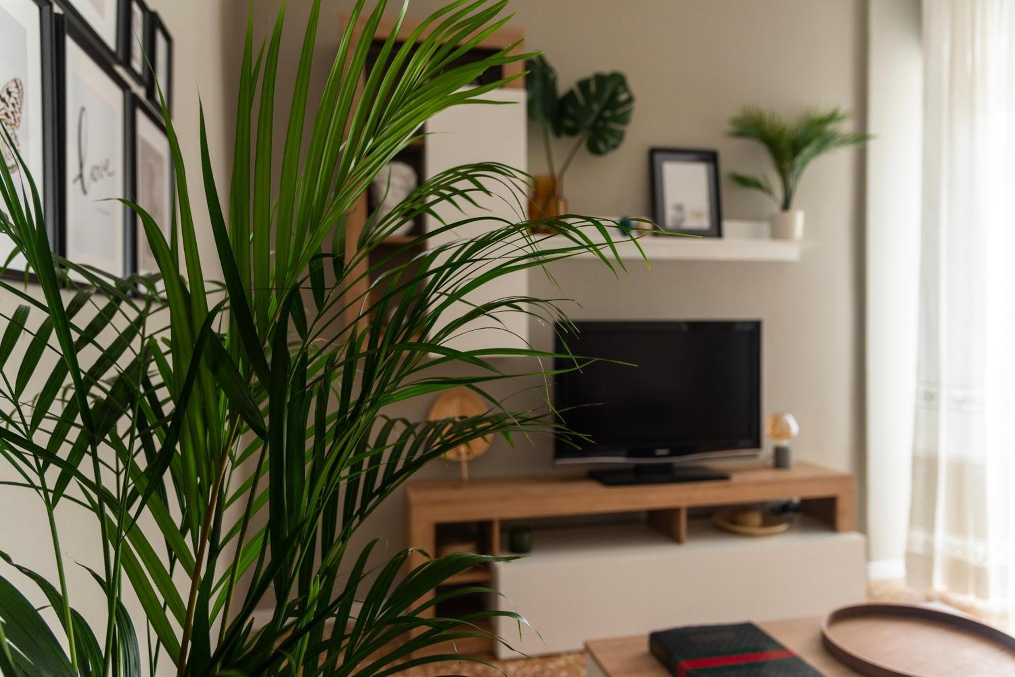 Vallazze 91 Appartement *