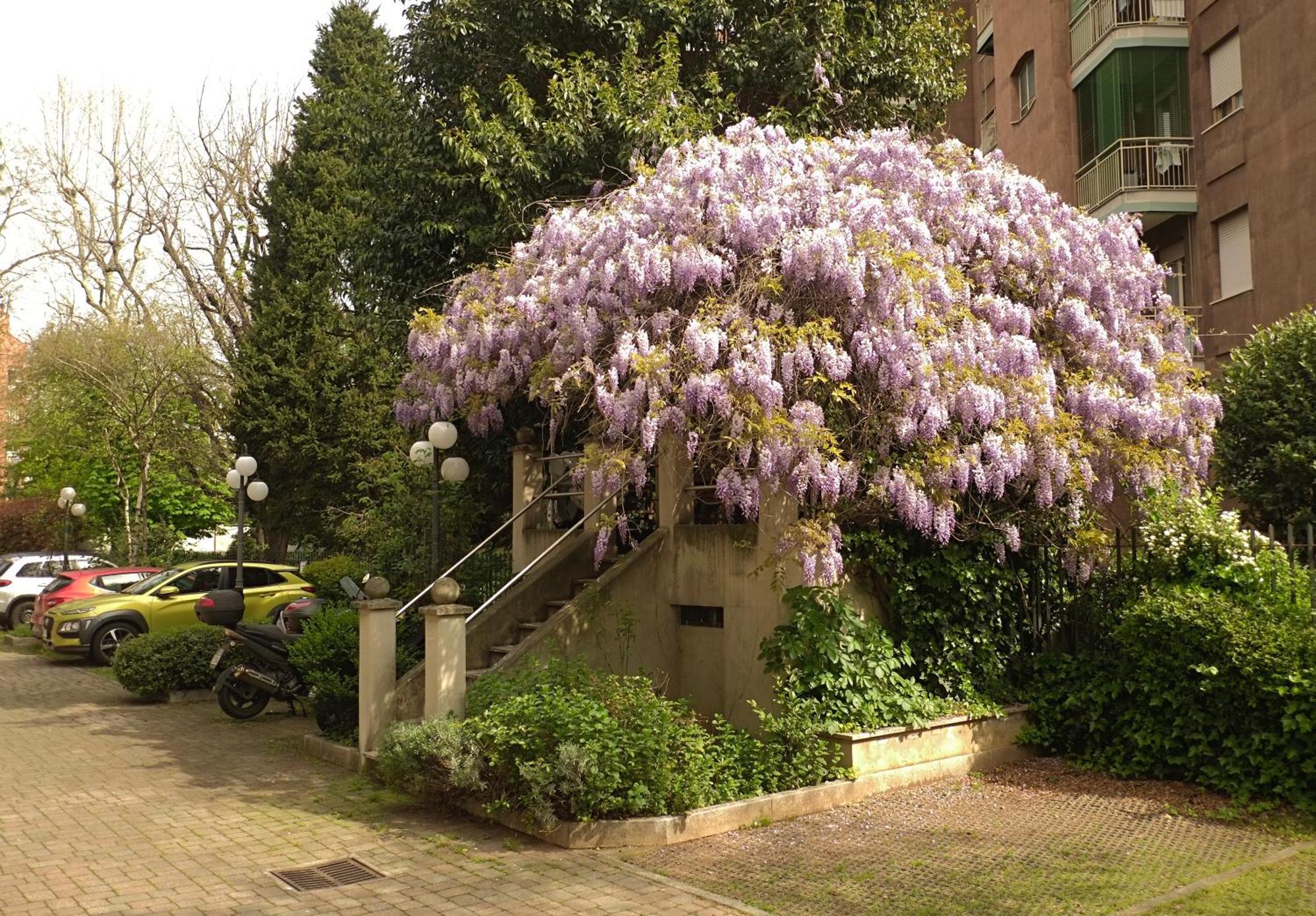 Best Way Rent - Beautiful On Naviglio Martesana Appartamento *