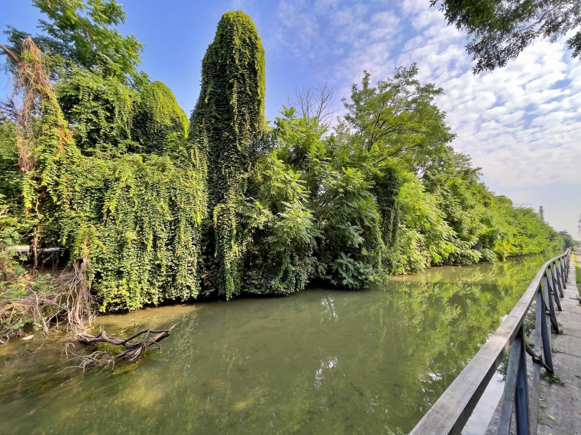 Apartment Best Way Rent - Enchanting On Naviglio Martesana Milan