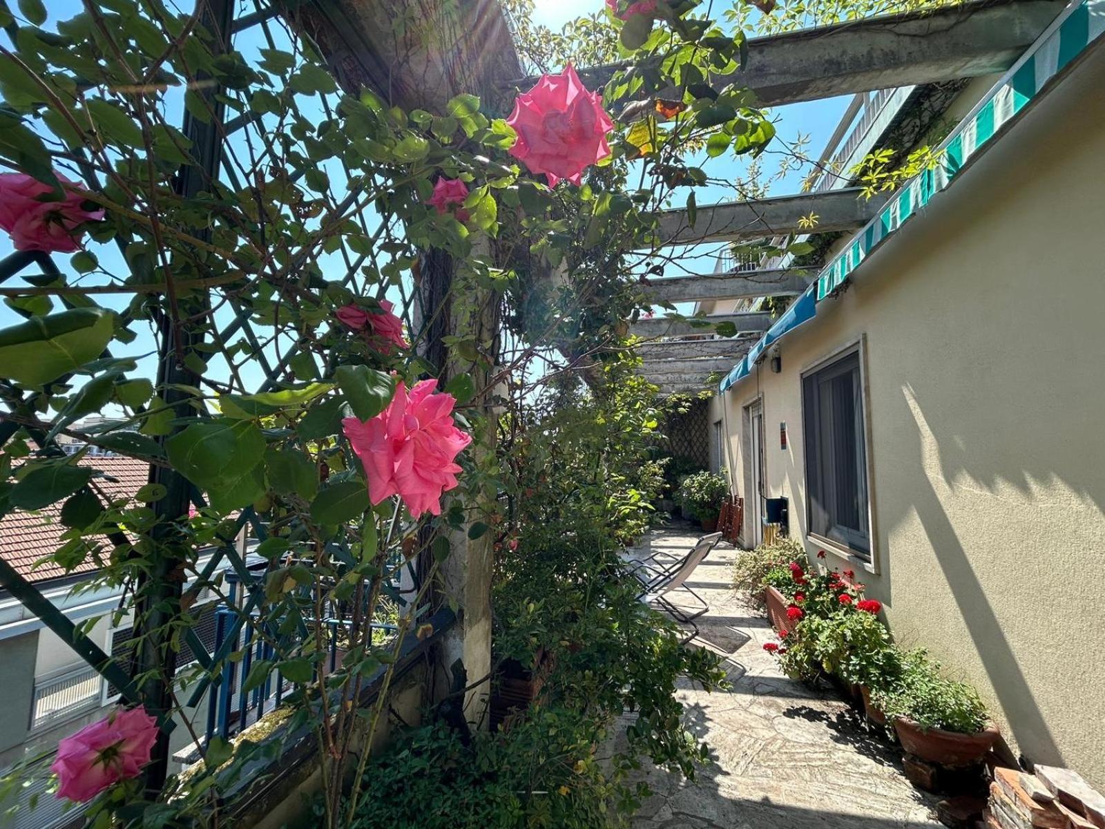 Terrazza Con Vista *
