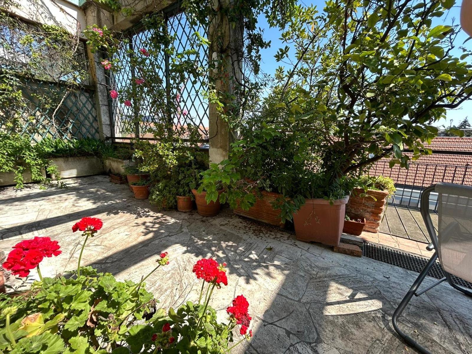Terrazza Con Vista