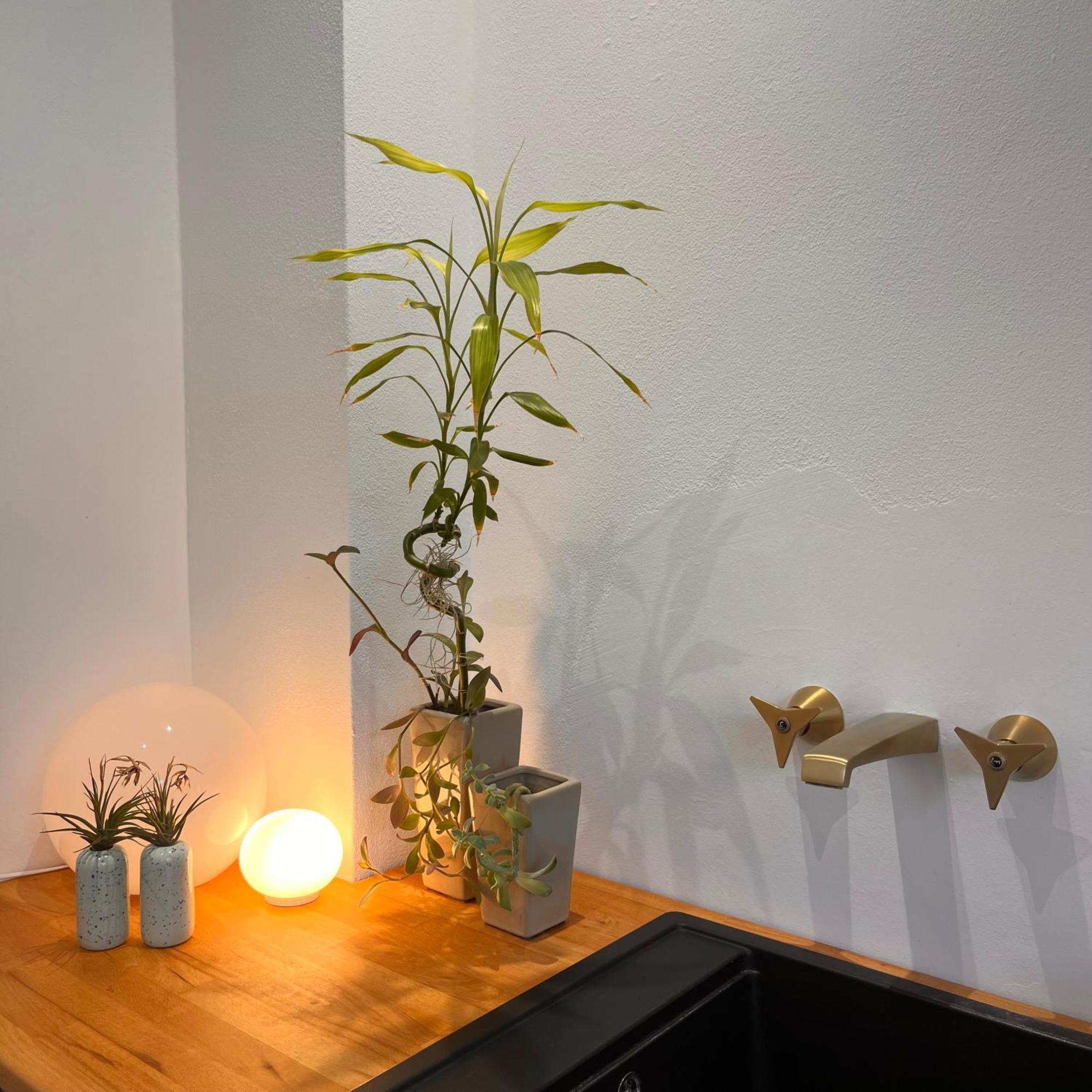 Apartment Crocetta 67 - Penthouse