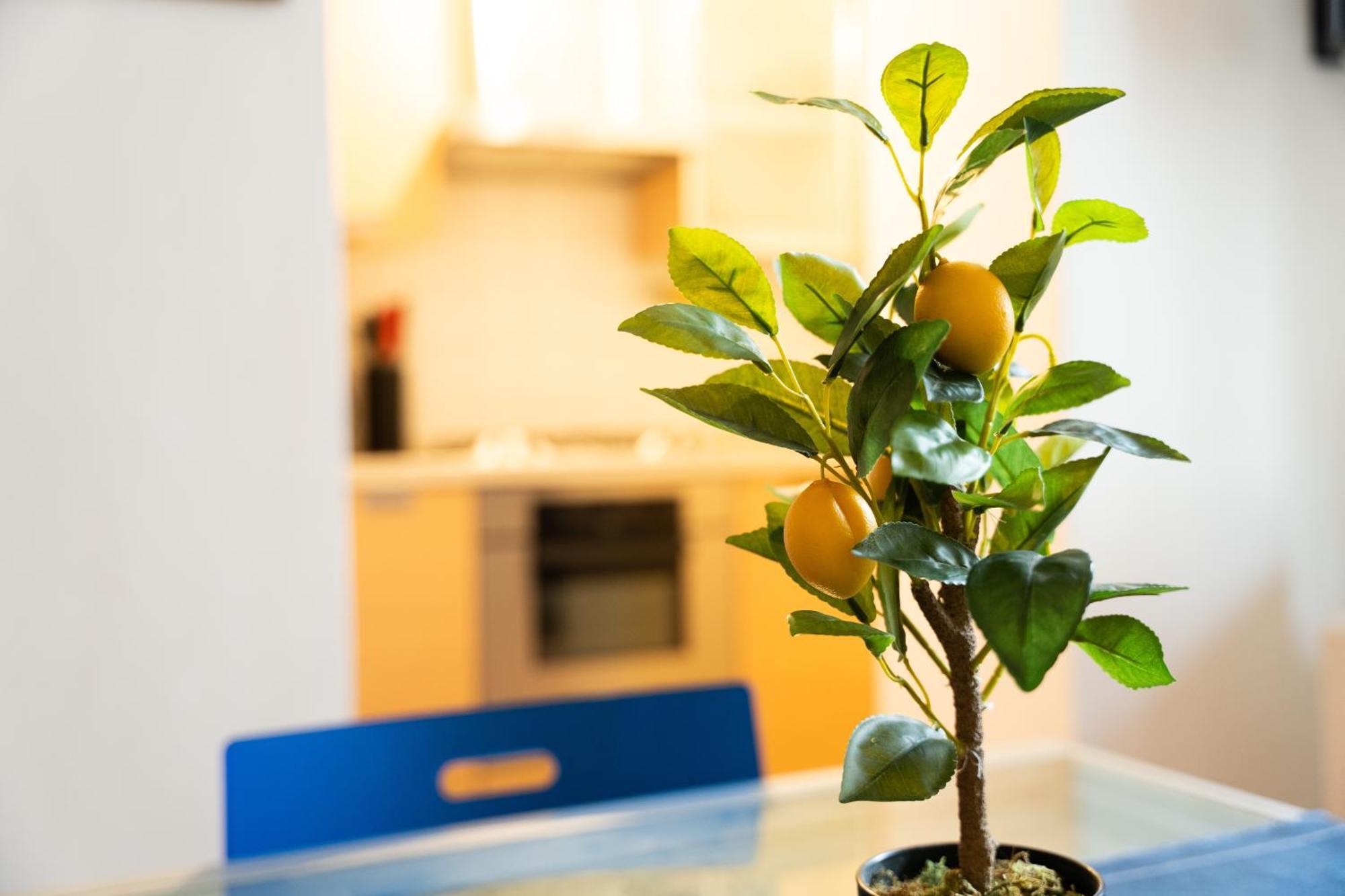 Quiet Flat In Pta Venezia Apartment Mailand