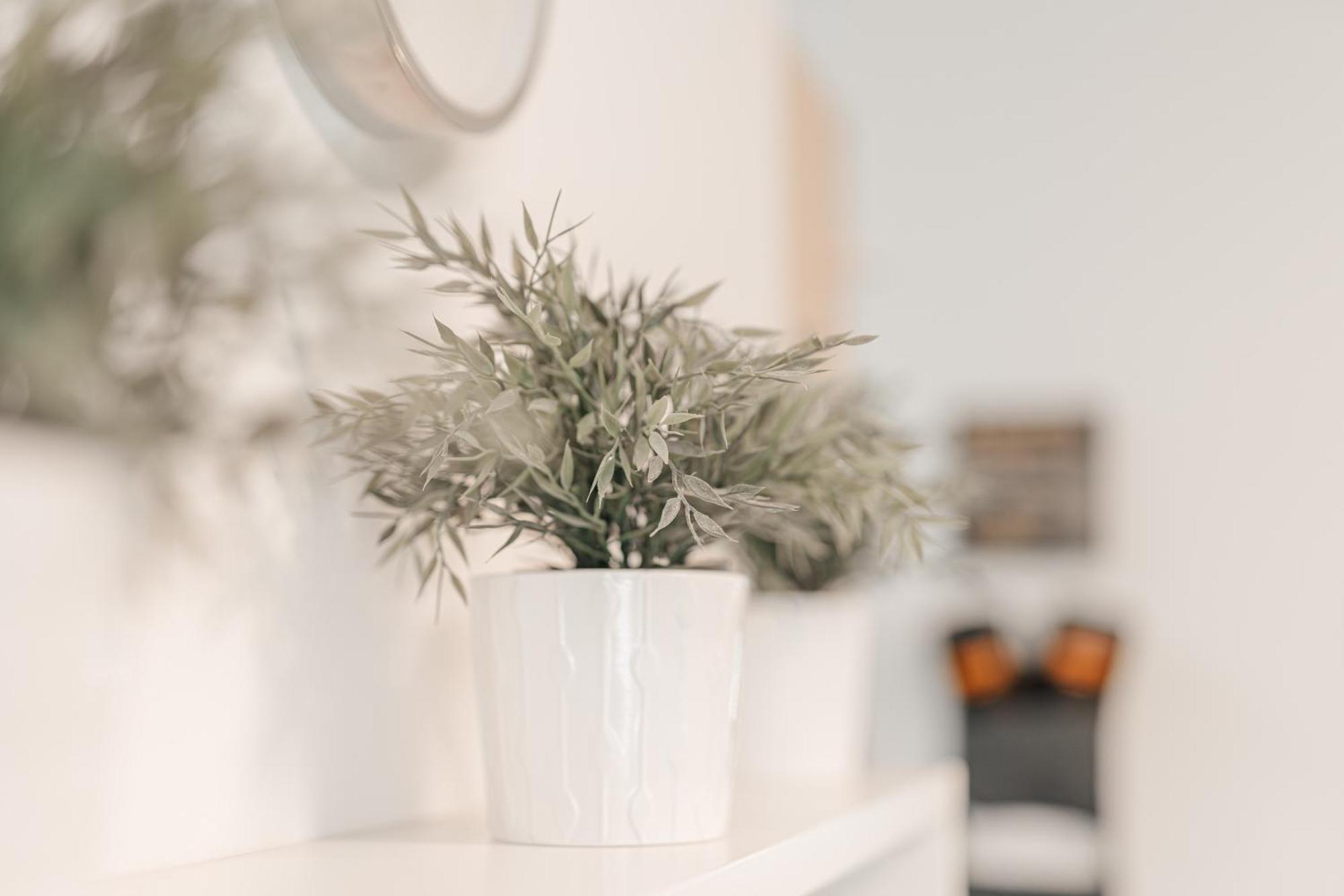 Apartment Solari New