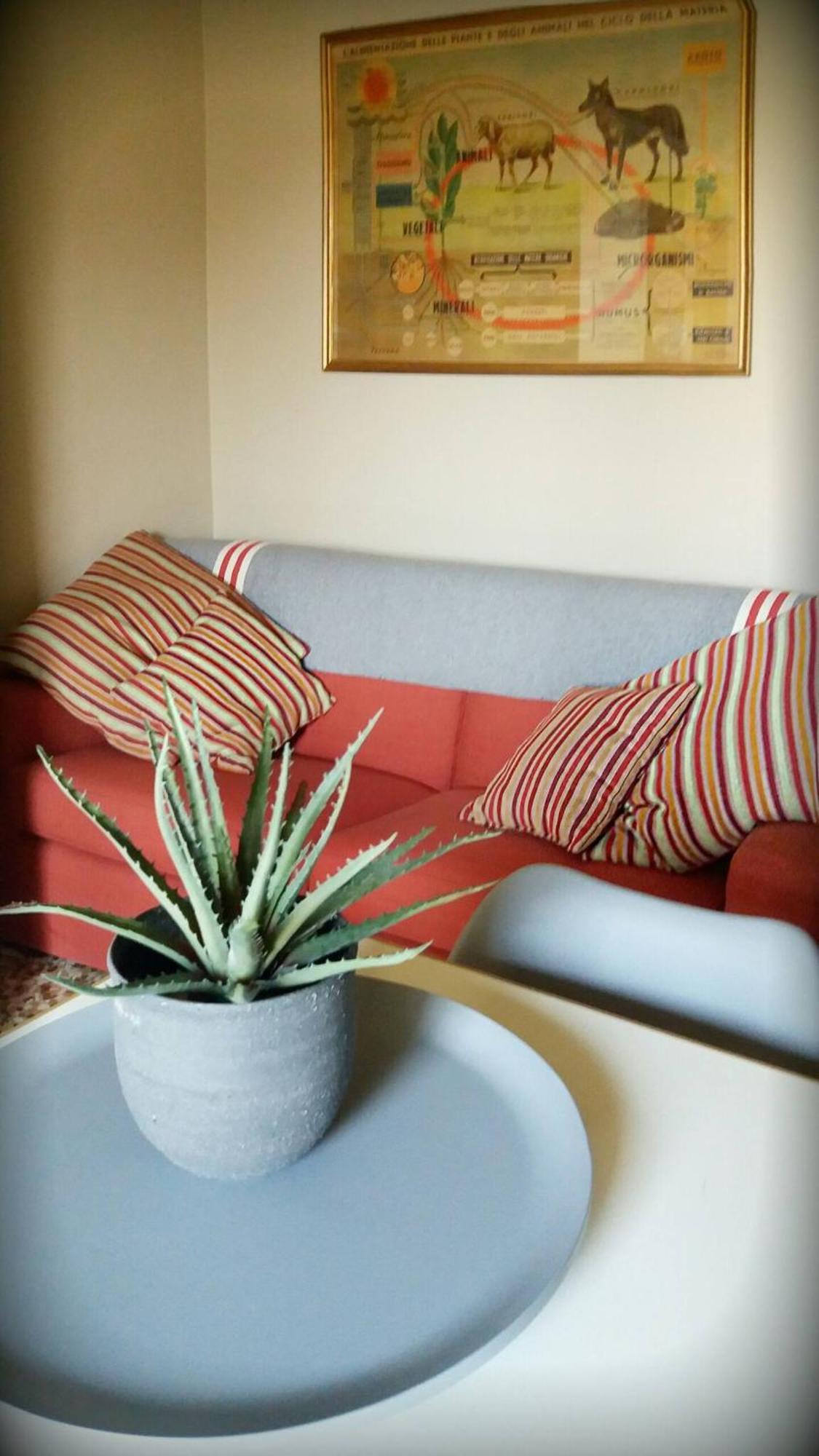 Charming Family Nest In Citta' Studi Milano