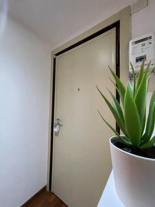 Trebbia Tavrvs Real Estate Leilighet Milano