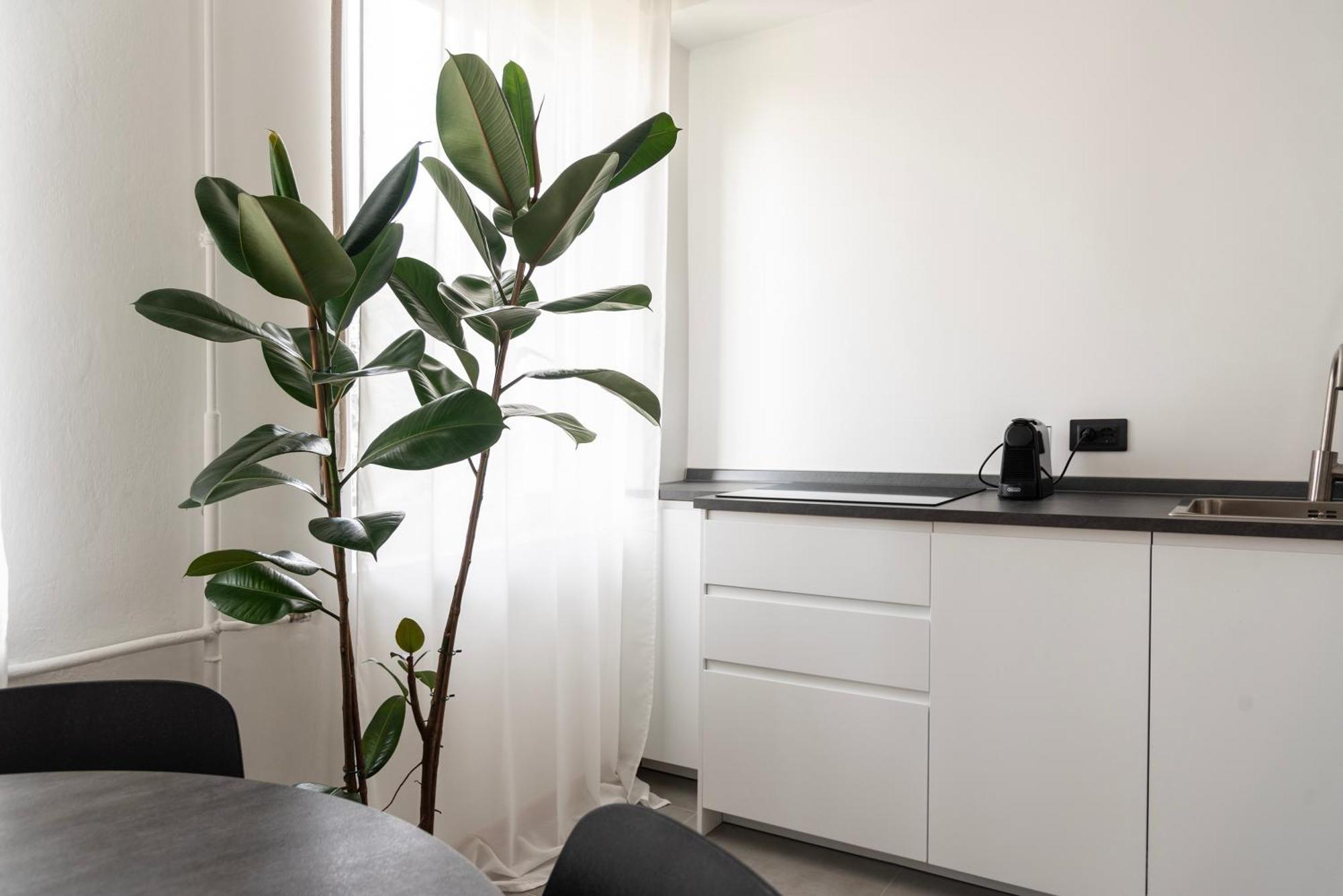 Youhosty- Terragni 31 Appartamento Milano