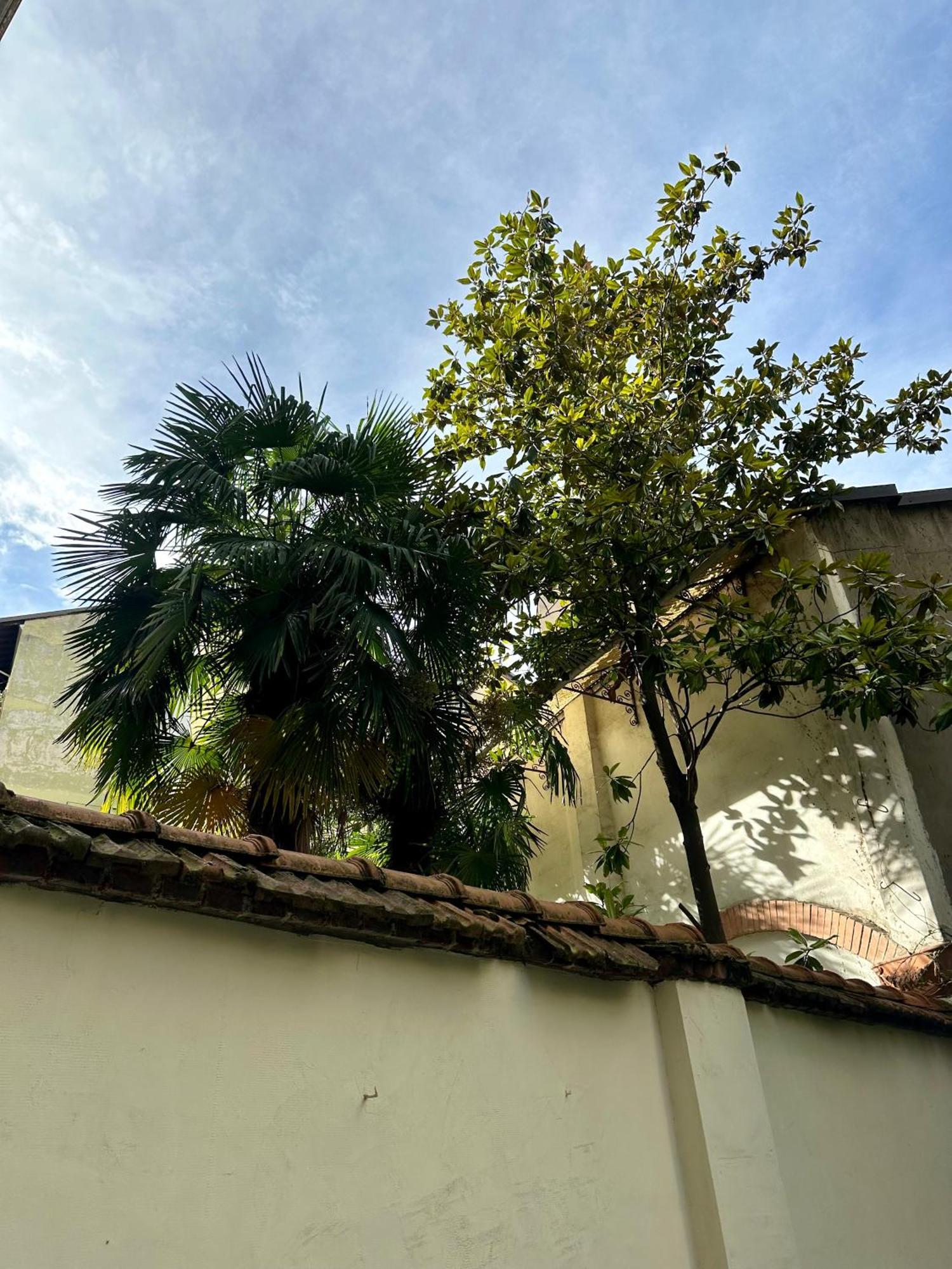 Lejlighed Lr Deluxe - Porta Venezia - Bilocale Con Giardino Privato Milano