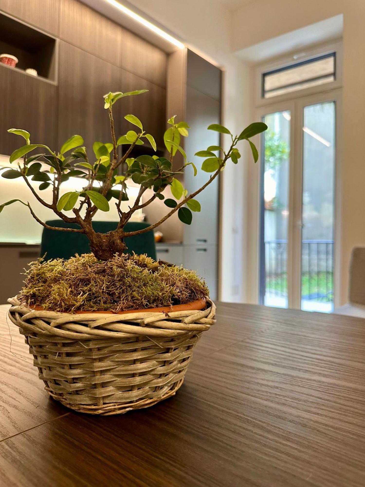 Lejlighed Lr Deluxe - Porta Venezia - Bilocale Con Giardino Privato