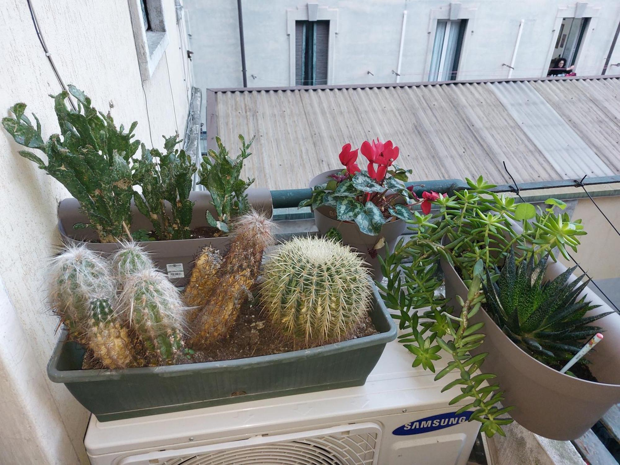Confortable Flat Near Pz Firenze Appartamento *