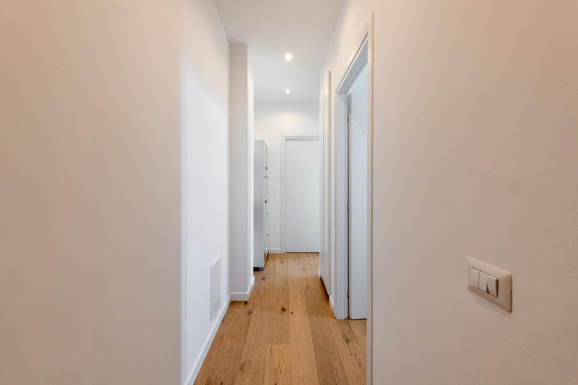 Luxury Apartment