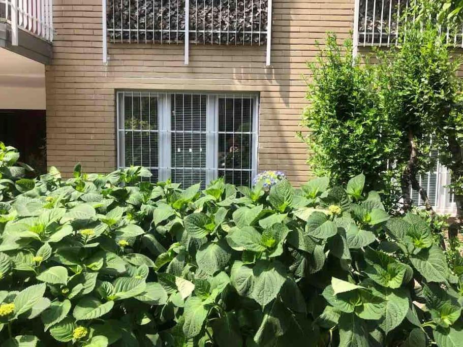 3 Bedrooms Flat Fully Equipped With Pool & Tennis Leilighet *