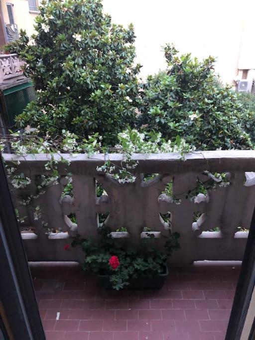 Appartamento Cozy In Milano