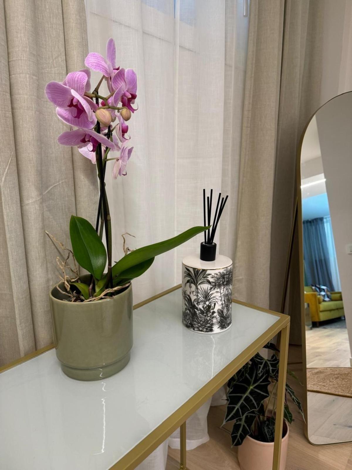 Apartment Urban