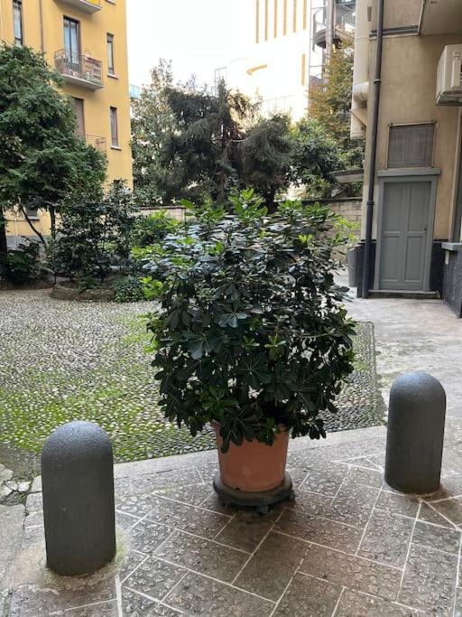 Tiny With Ideal Subway Connection Casa vacanze Milano