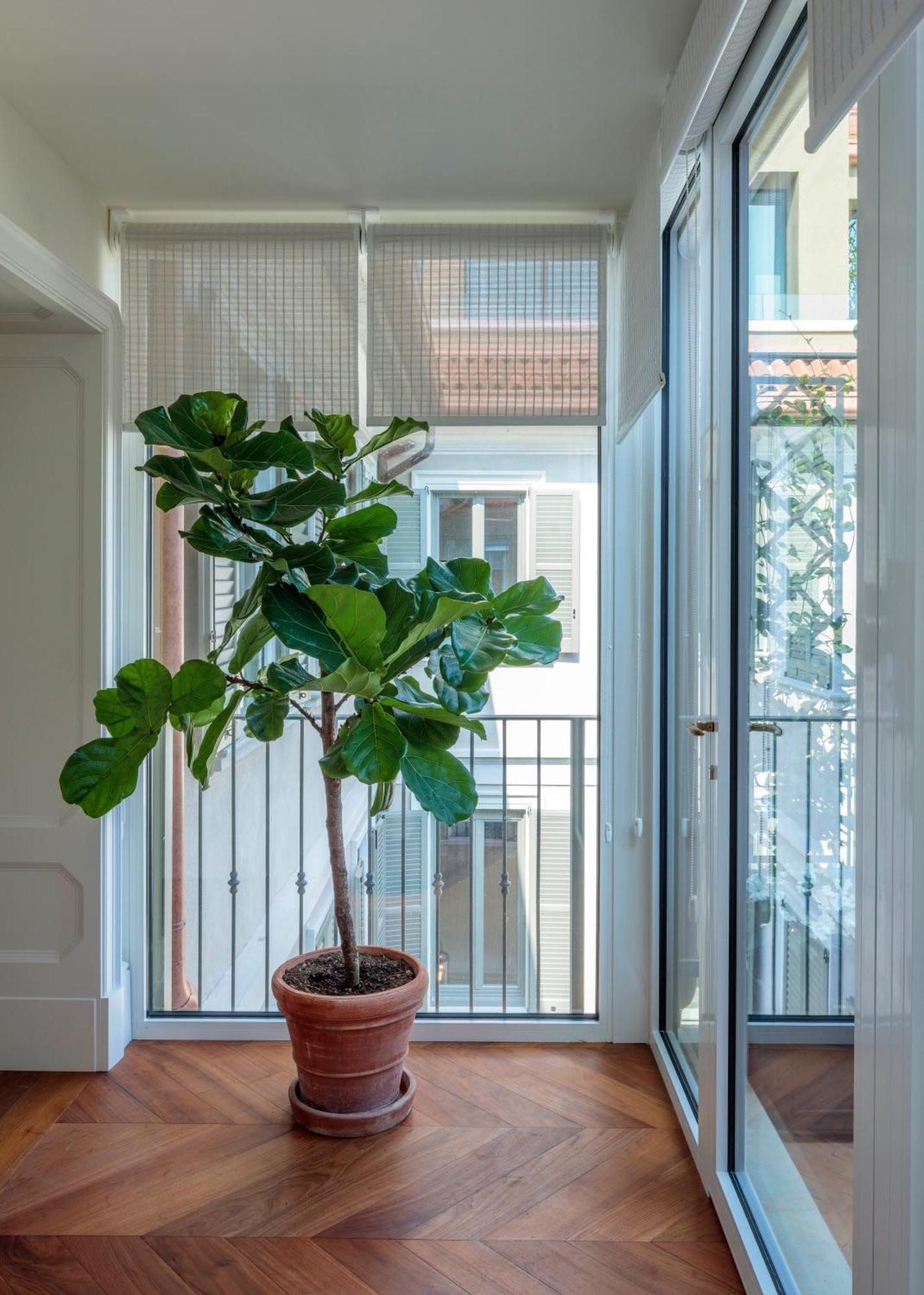 Appartamento Rocco House Via Manzoni Milano