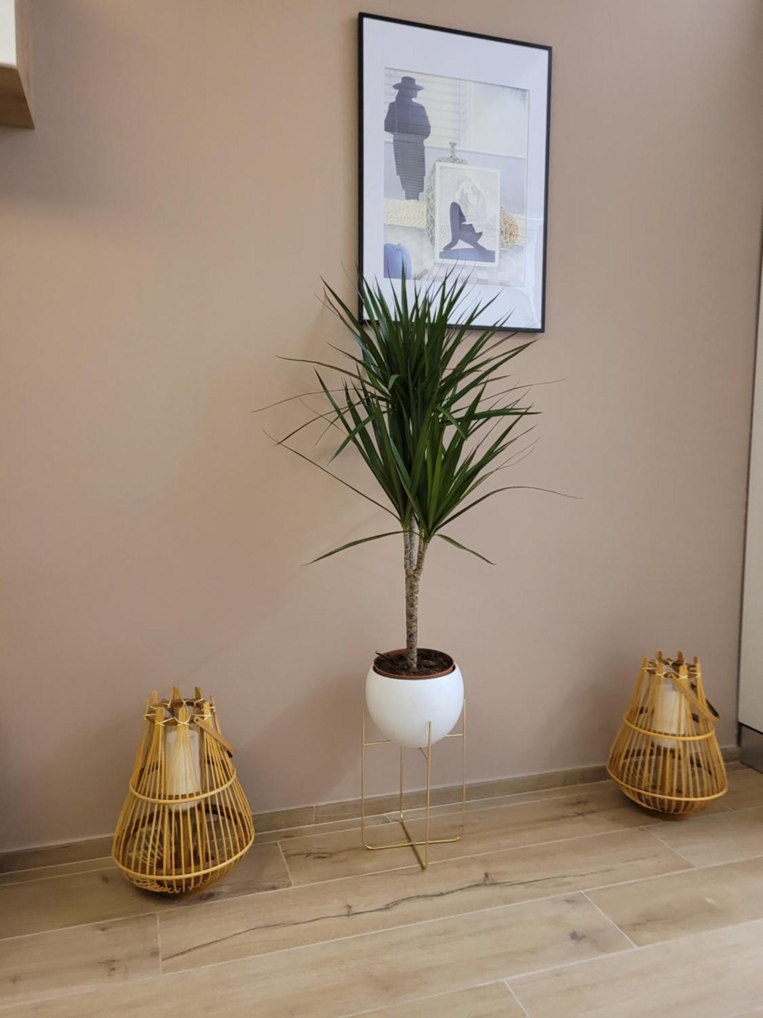 La Casa Sole Appartement