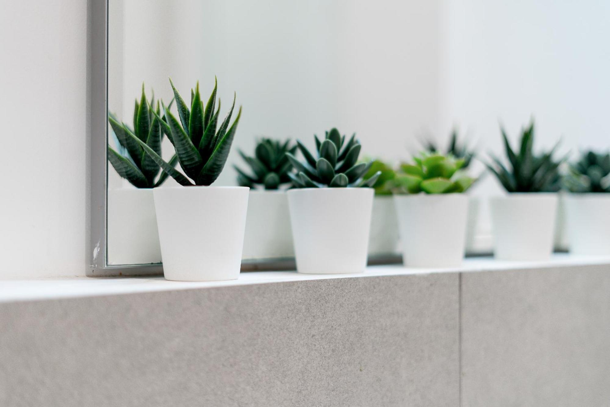 Urban Studio, Politecnico-lambrate Appartamento Milano
