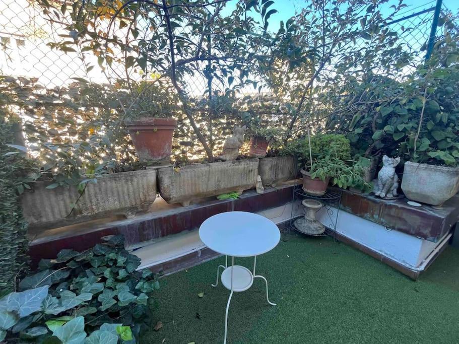 Monolocale In Centro Con Terrazzo Appartamento *