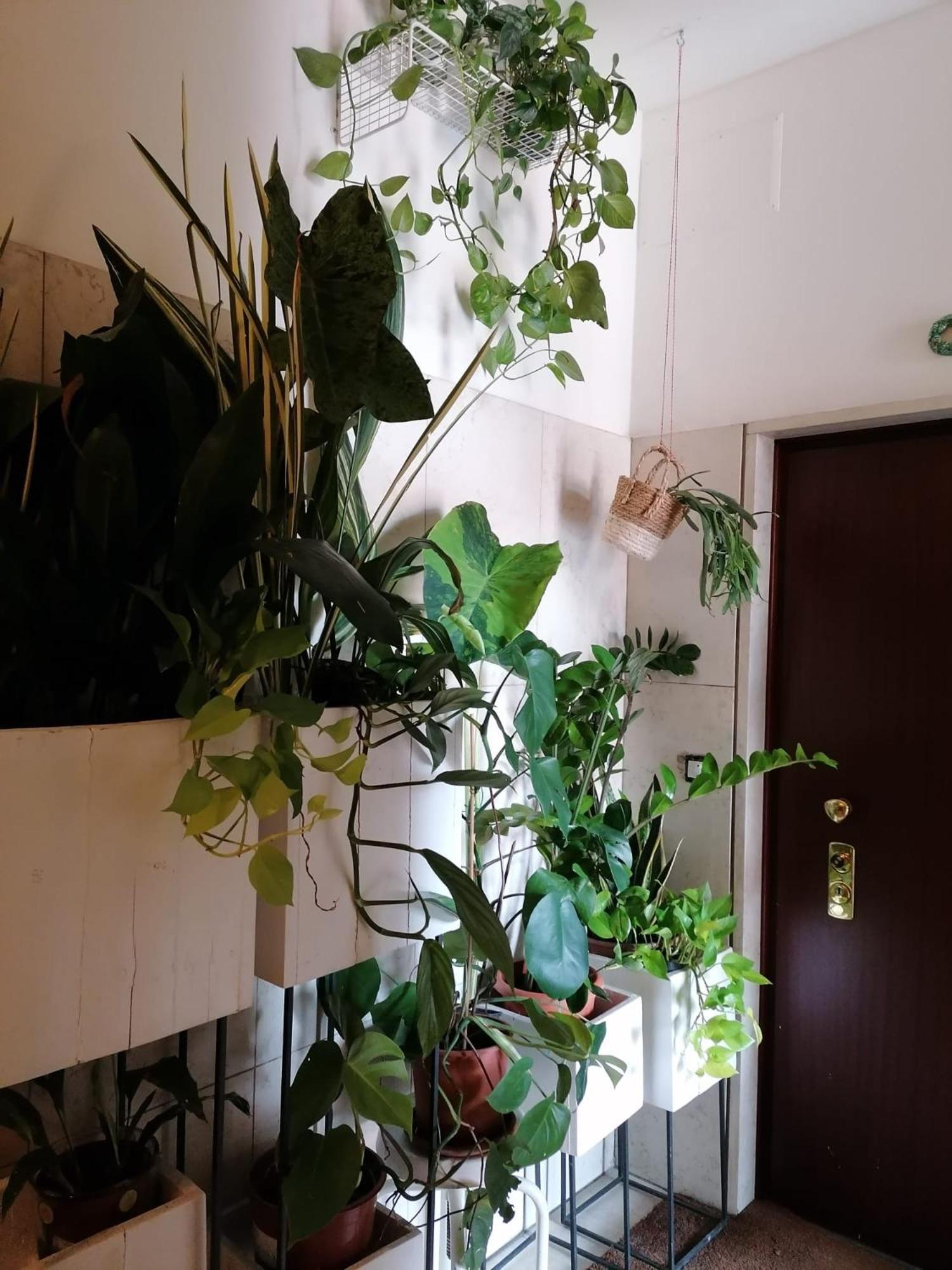 Alloggio in famiglia Privata Con Bagno E Garage