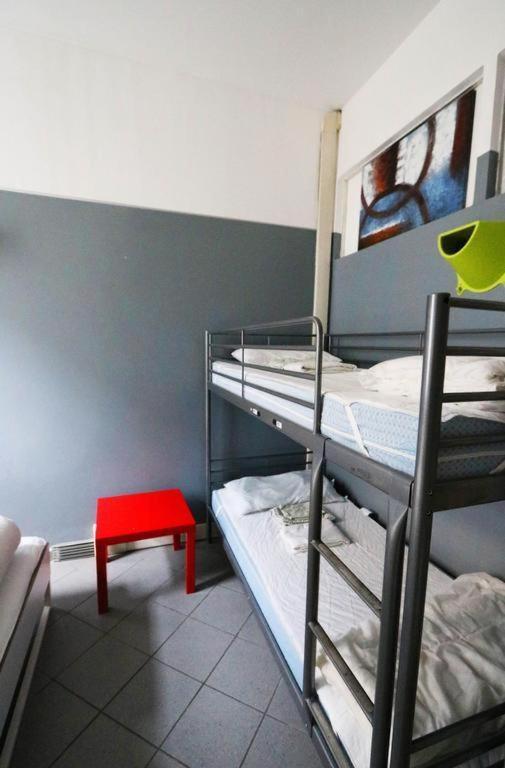 Koala Hostel *