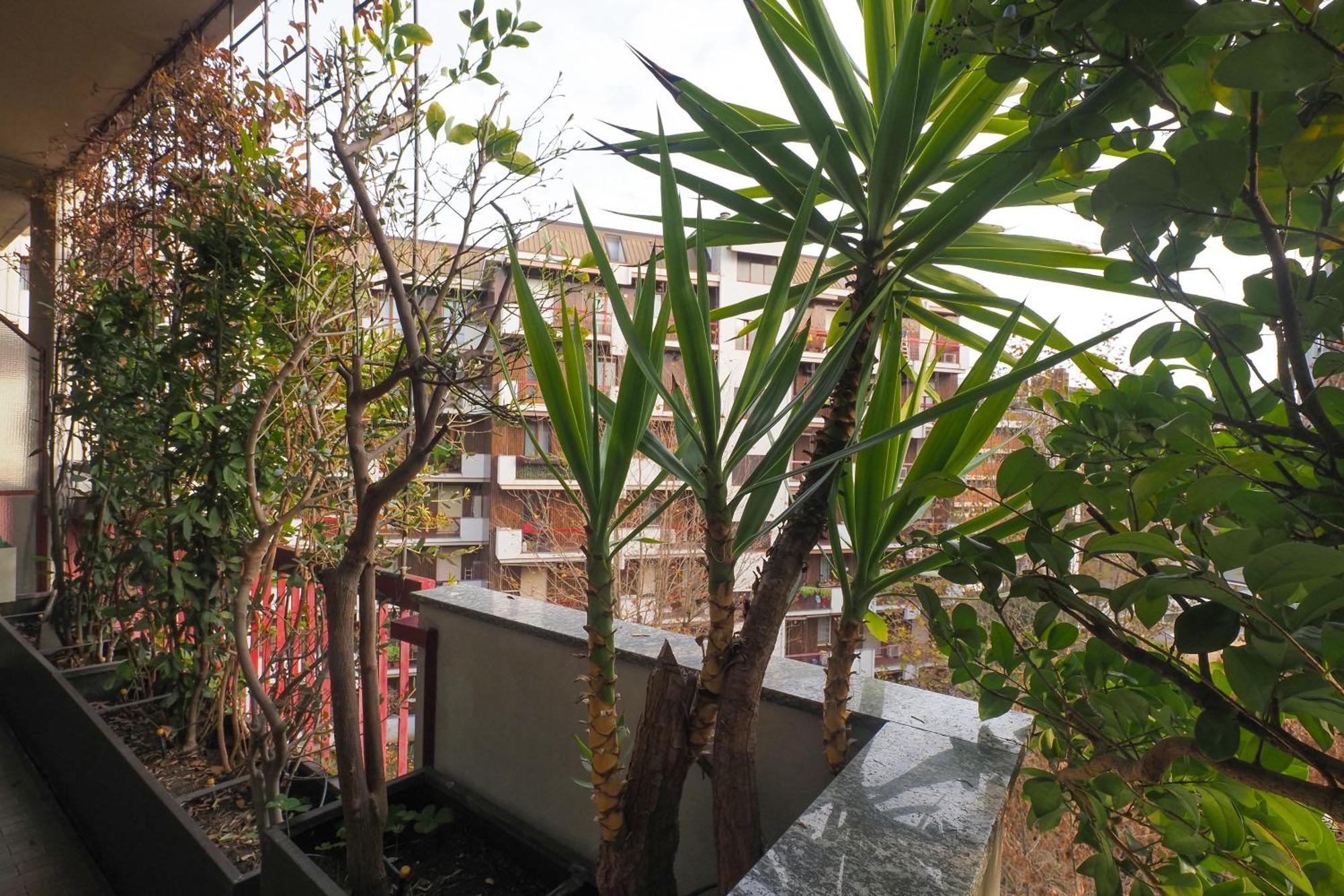 Primopiano - Ronchi Milano