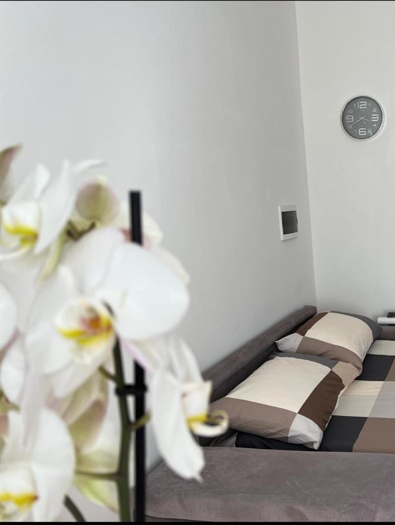 Bande Nere Apartment
