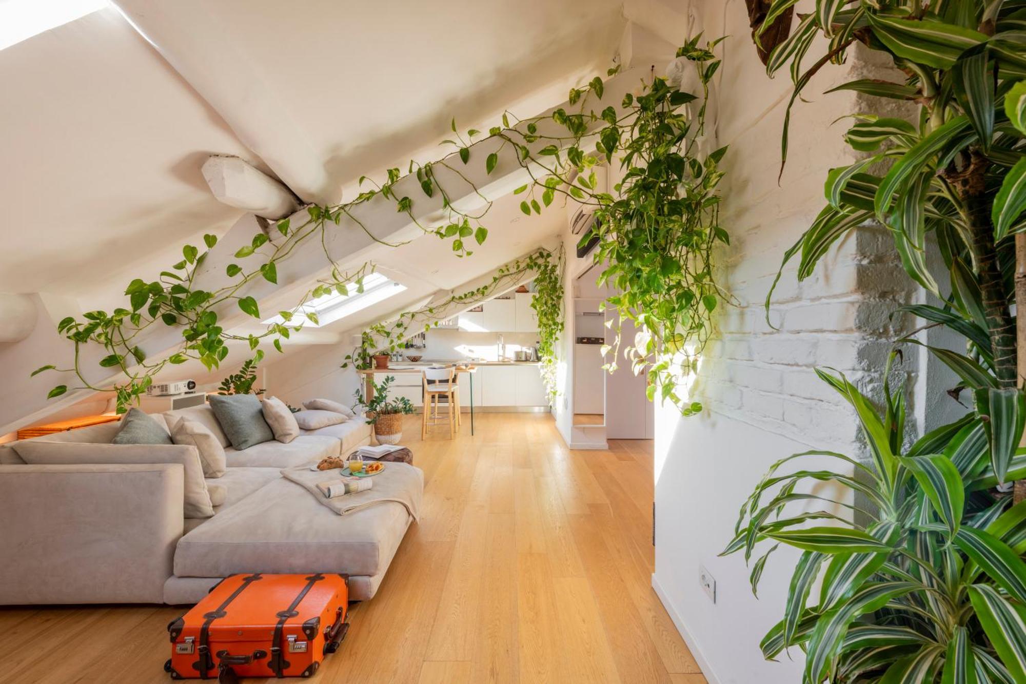 Bright Penthouse Attic In The Heart Of Appartamento