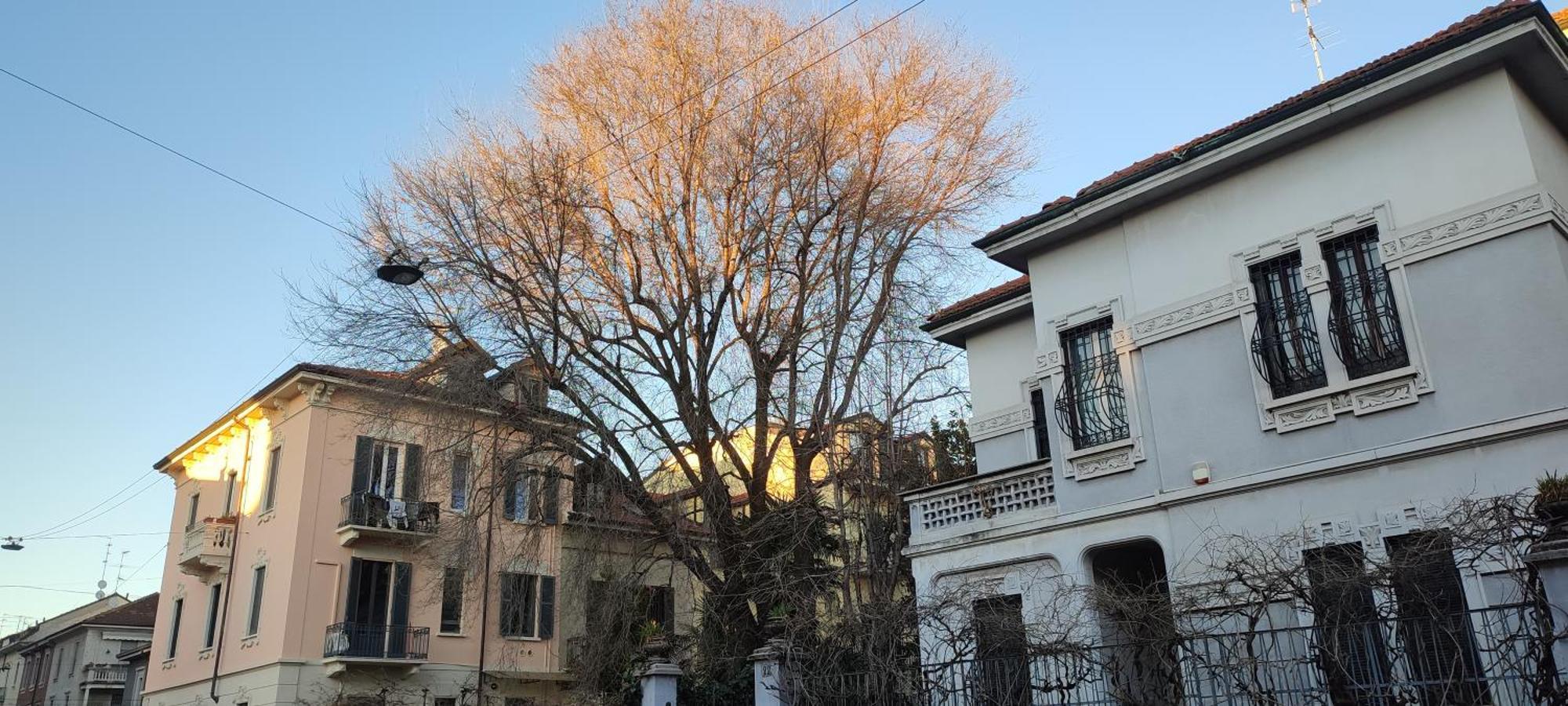 2 Minimal Alloggio in famiglia Milano