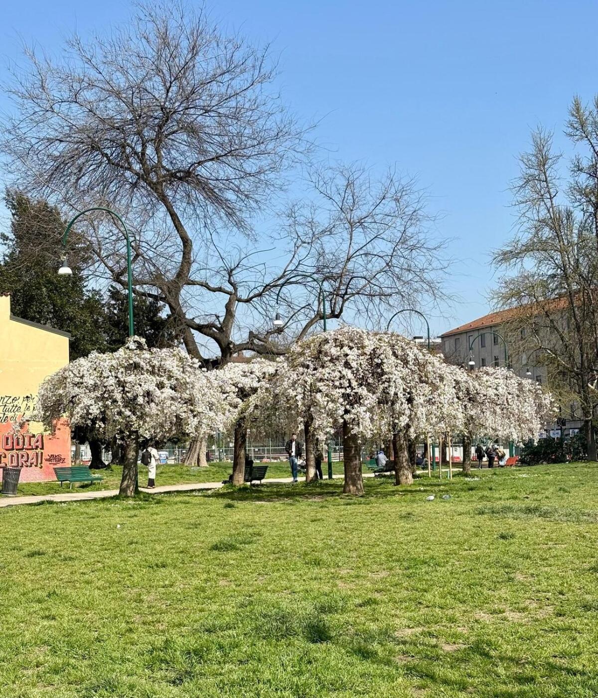 Historic Center Flat- Duomo 10m-m4 Vetra Lejlighed *