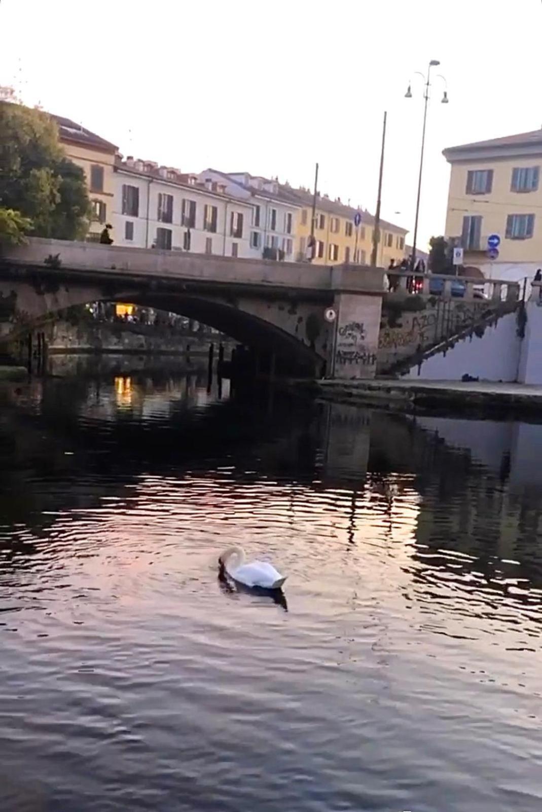 Appartamento Naviglio, Metro Blu Duomo Milano