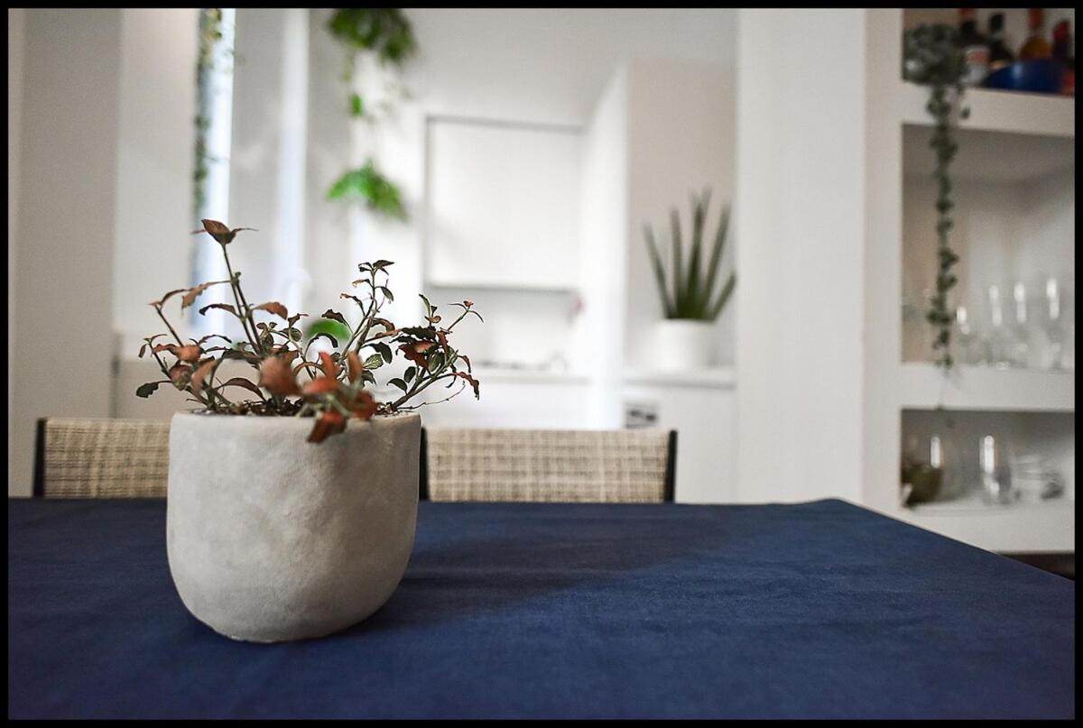 Milan, Cozy Flat In Porta Venezia Appartamento Milano