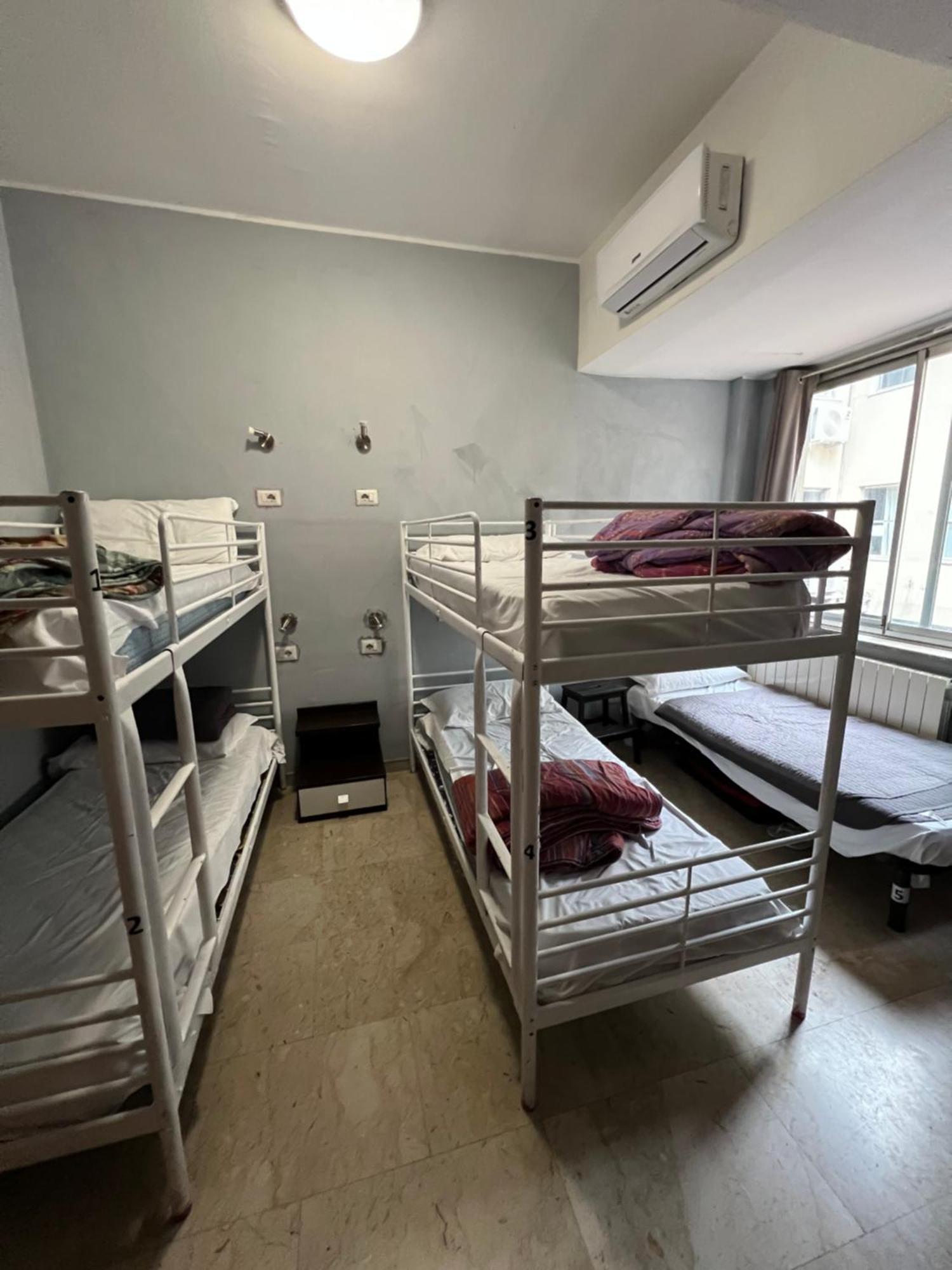 Lion Hostel