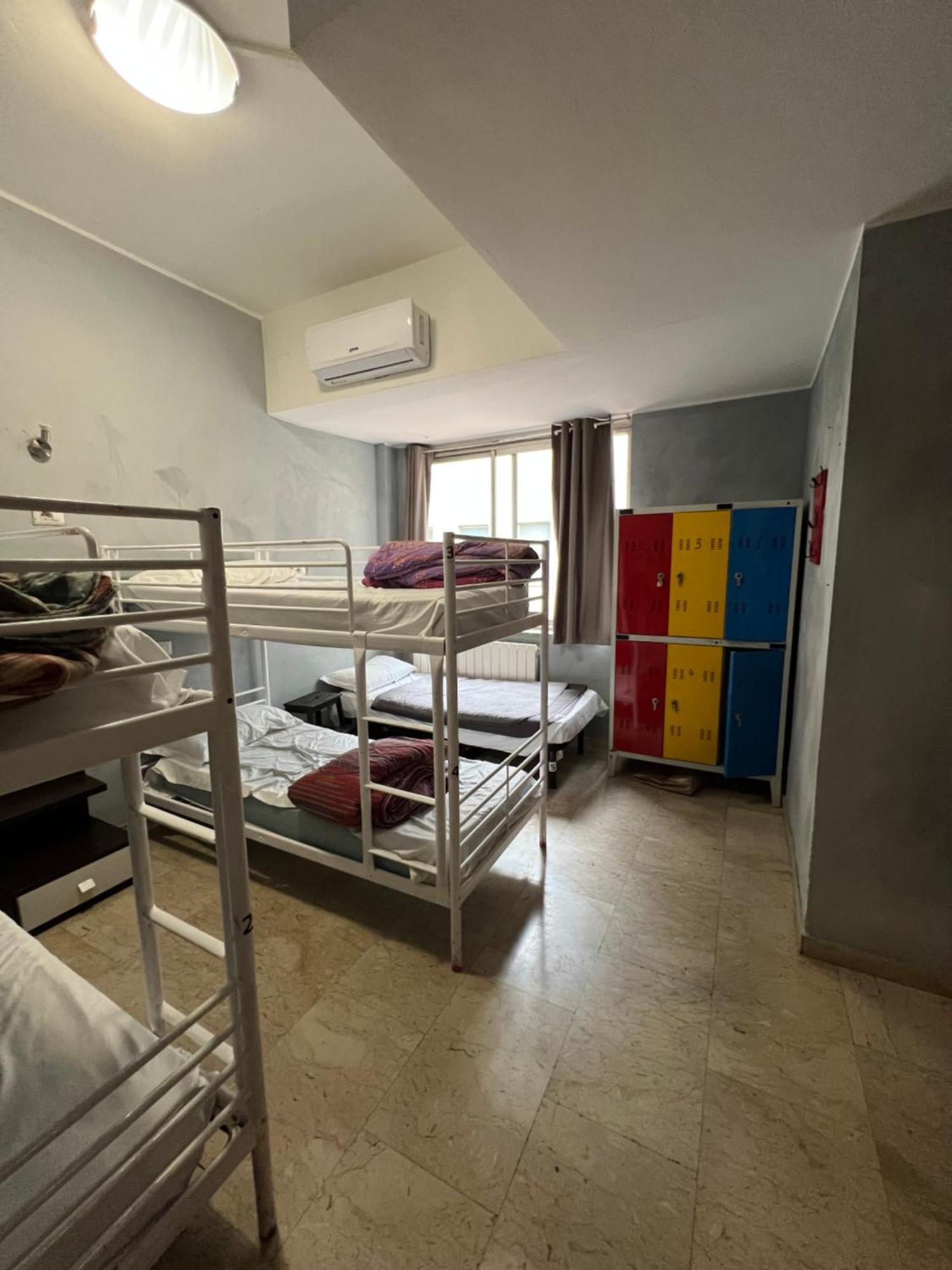 Lion Hostel *