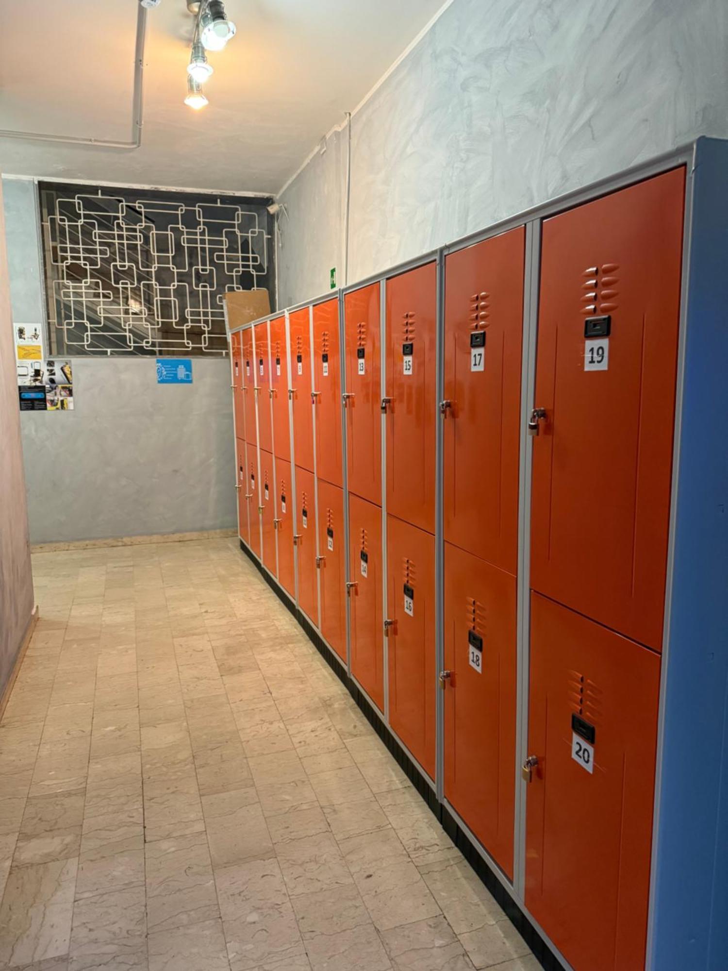 Lion Hostel