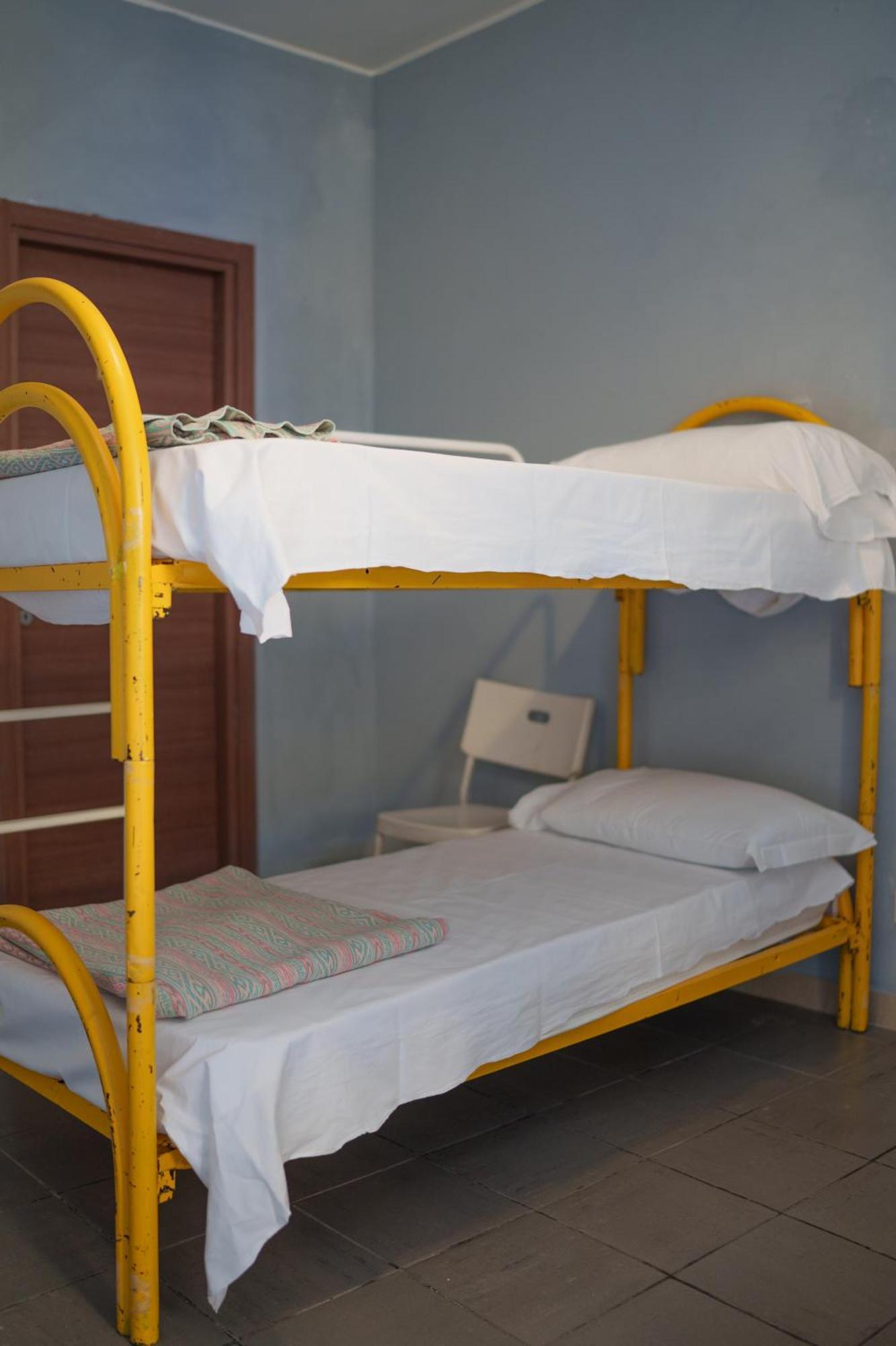 Lion Hostel *