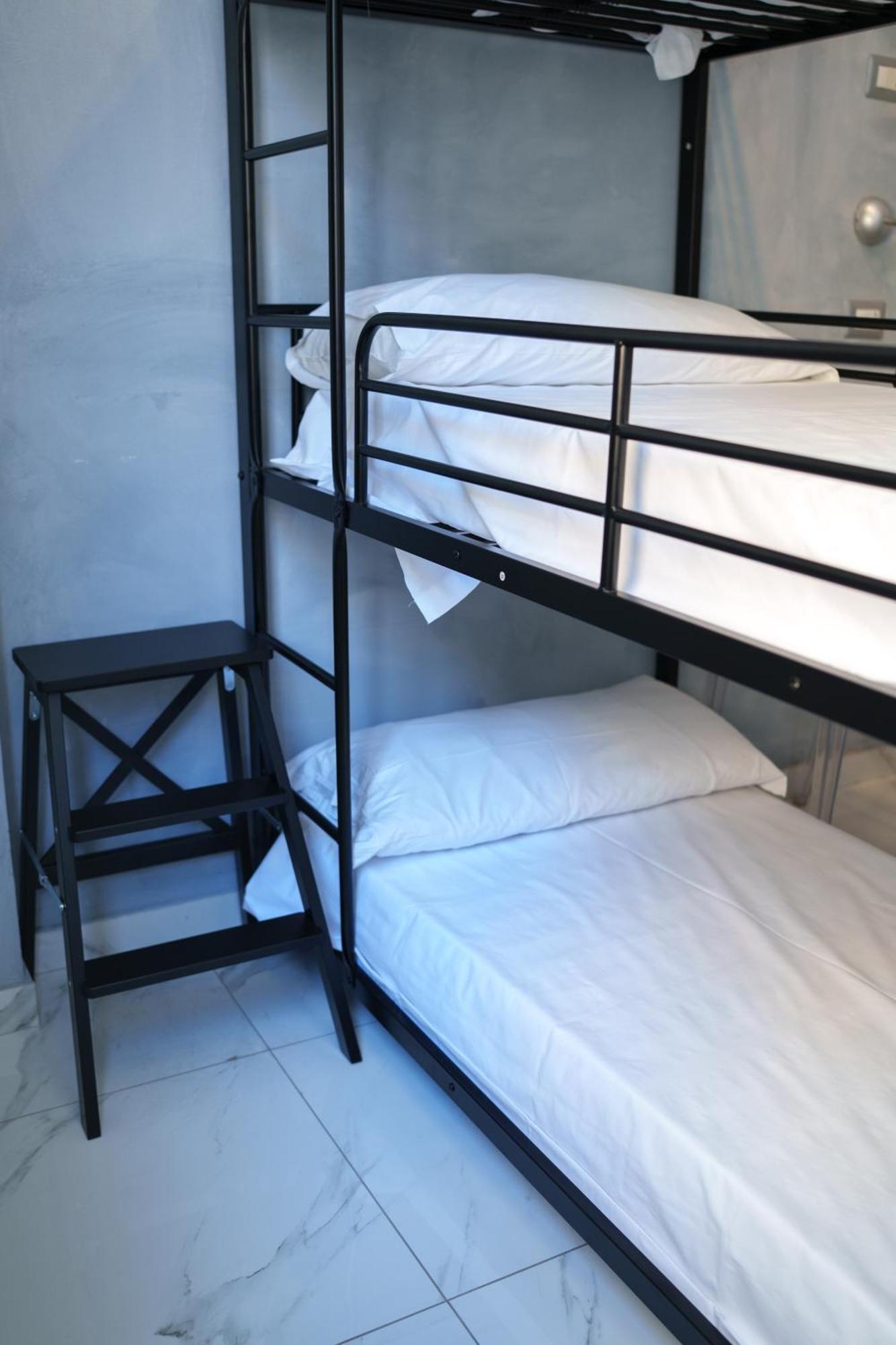 Hostel Lion *