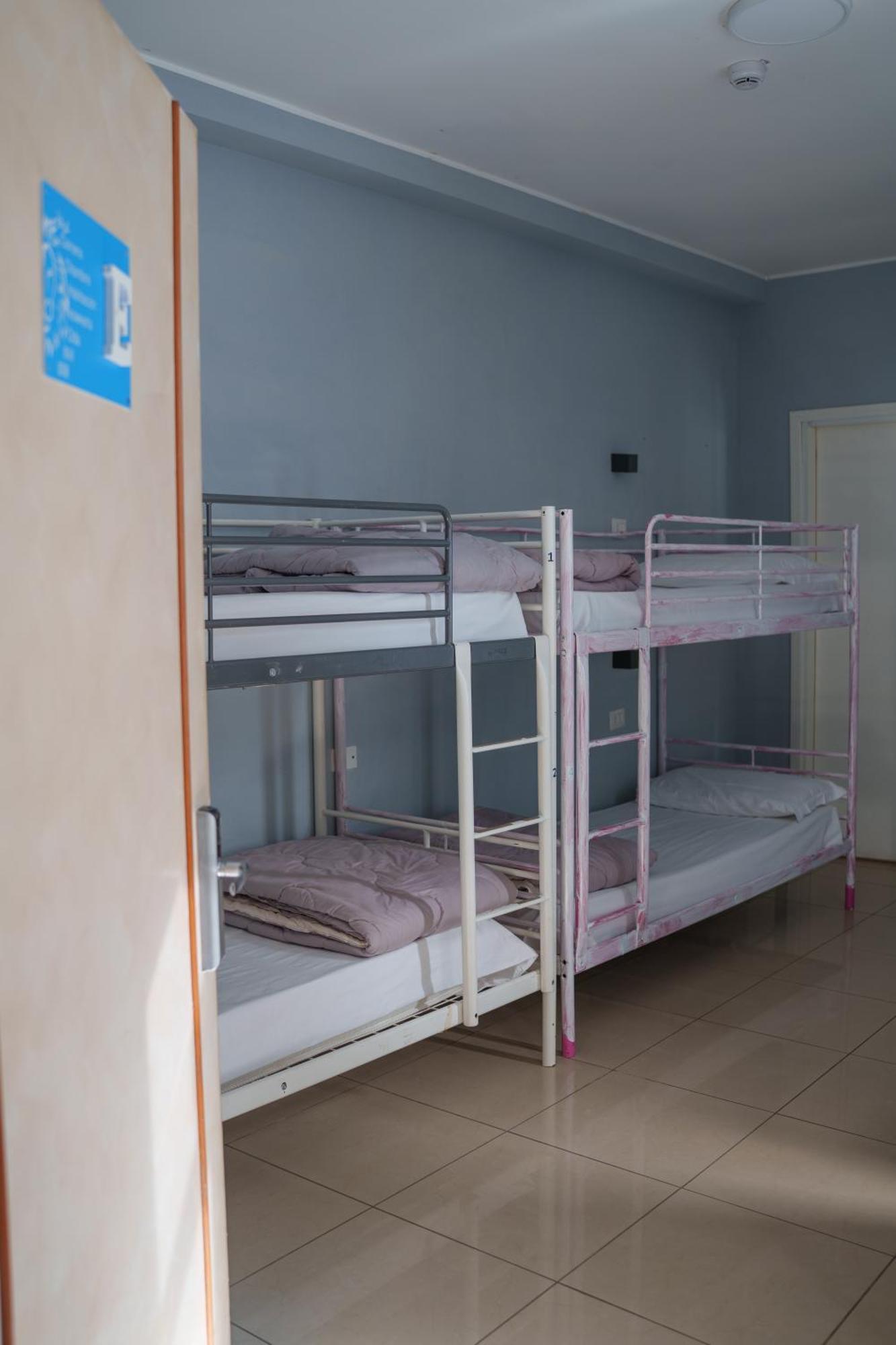 Hostel Lion